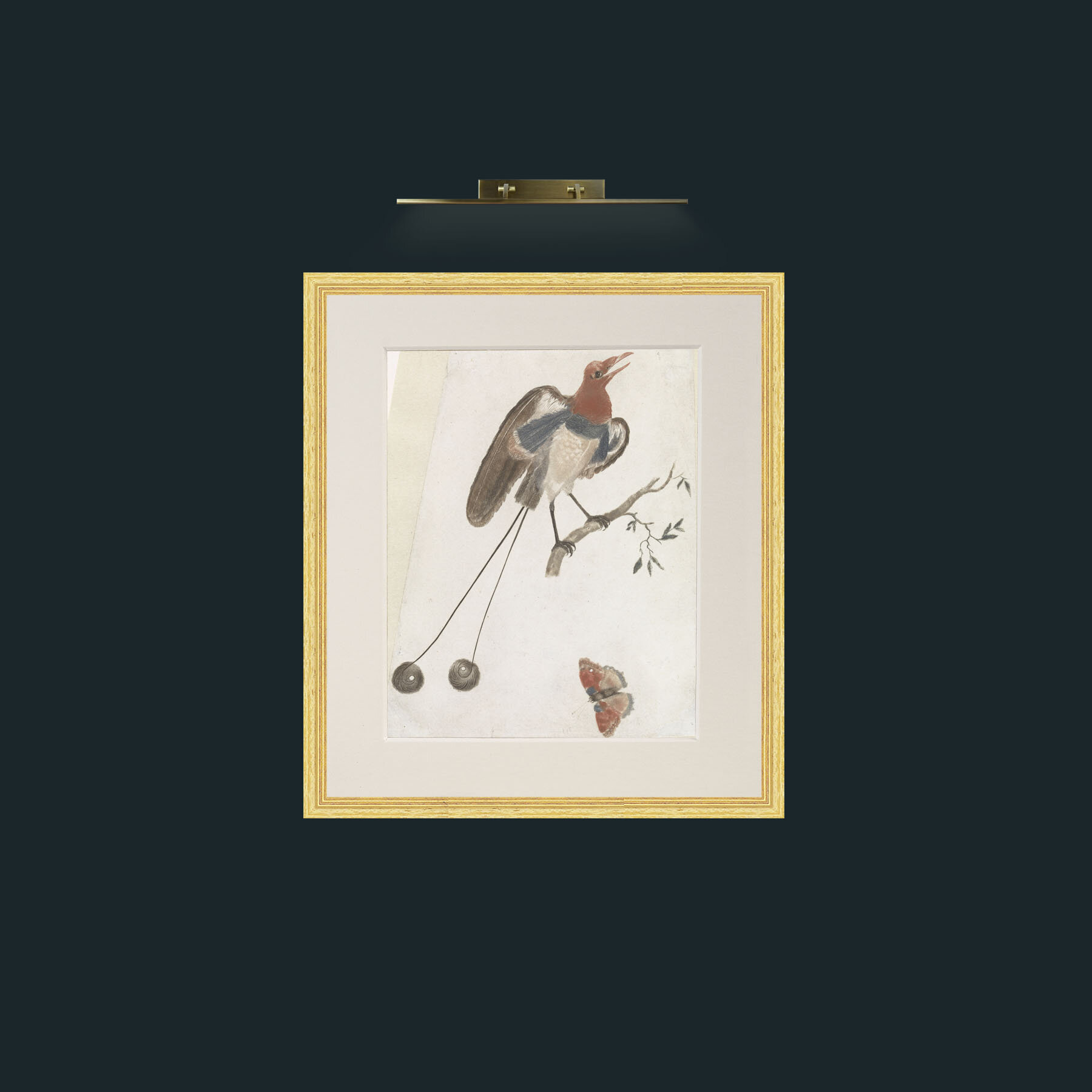 Art-Bird of ParadiseFrame-4BevelledGilt-Mount-1Antique-Art-Bird of Paradise.jpg