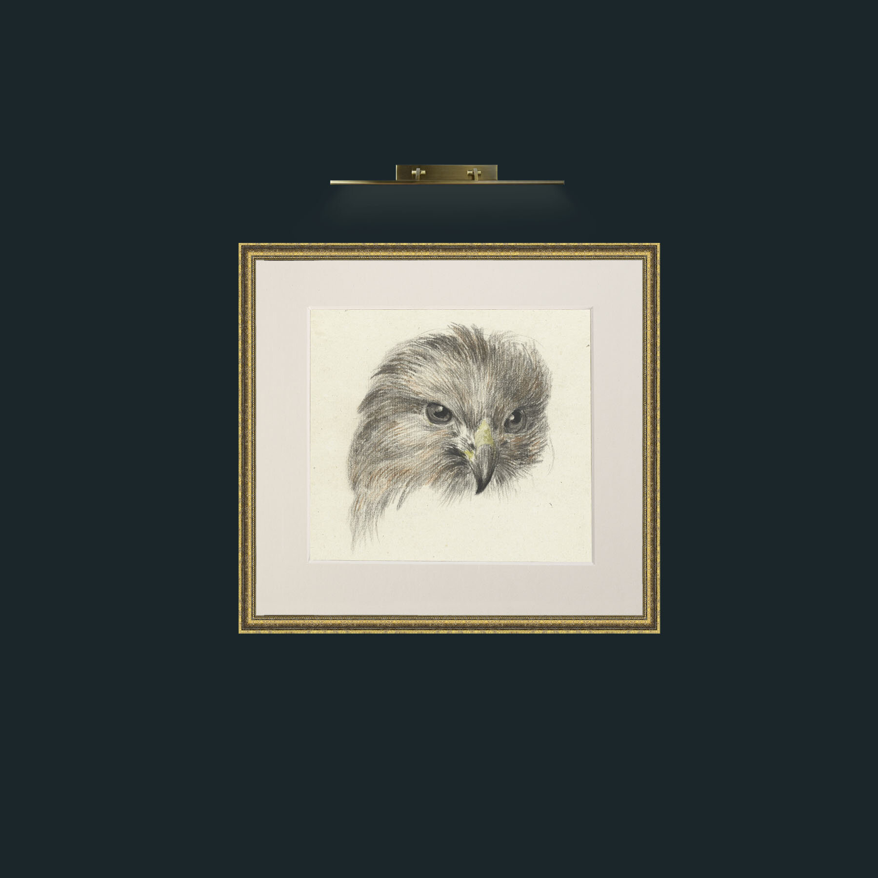 Art-Bird of Prey-Frame-1GiltTextured-Mount-1Antique.jpg