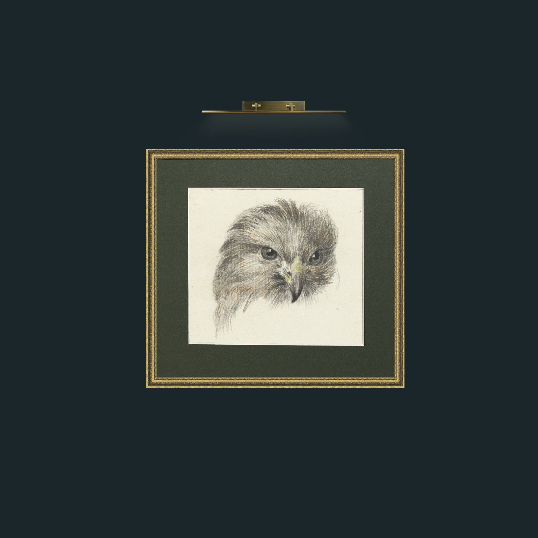 Art-Bird of Prey-Frame-1GiltTextured-Mount-2Green.jpg