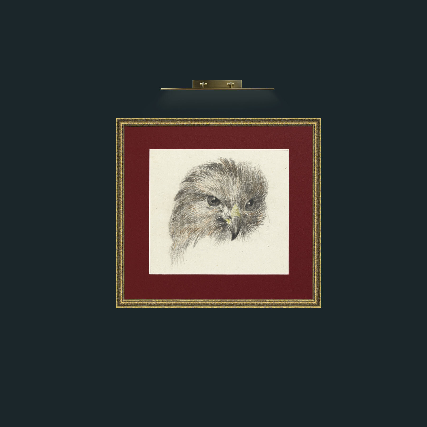 Art-Bird of Prey-Frame-1GiltTextured-Mount-4Red.jpg