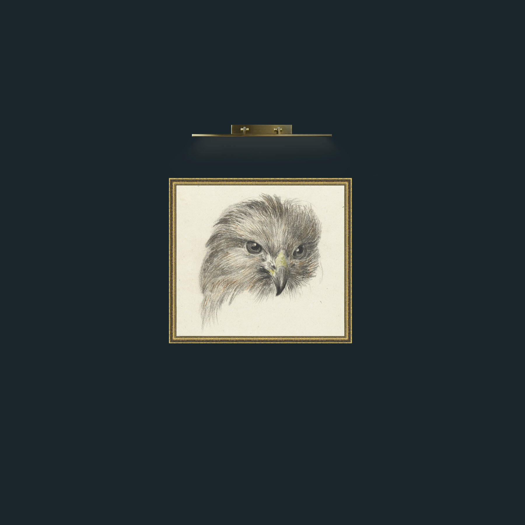 Art-Bird of Prey-Frame-1GiltTextured.jpg