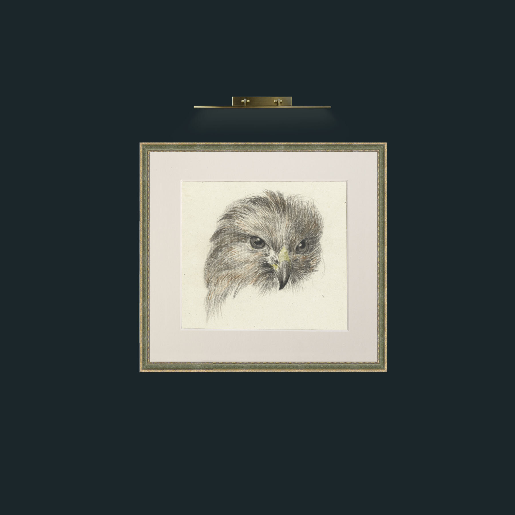 Art-Bird of Prey-Frame-2GreenGiltTextured-Mount-1Antique.jpg
