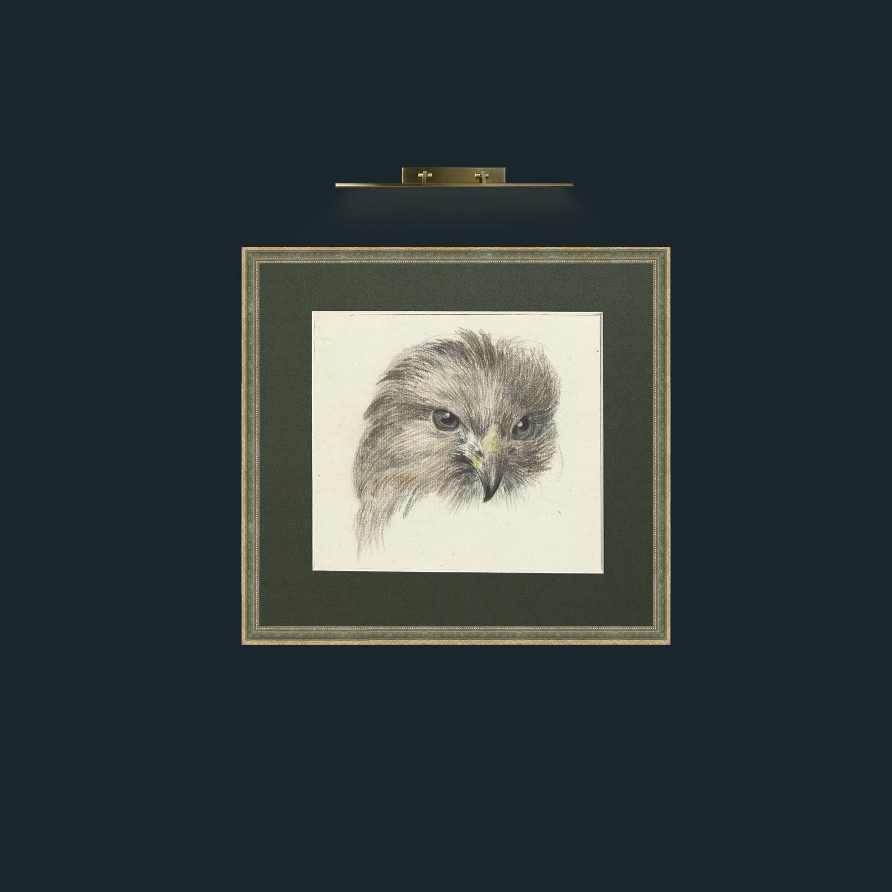 Art-Bird of Prey-Frame-2GreenGiltTextured-Mount-2Green.jpg