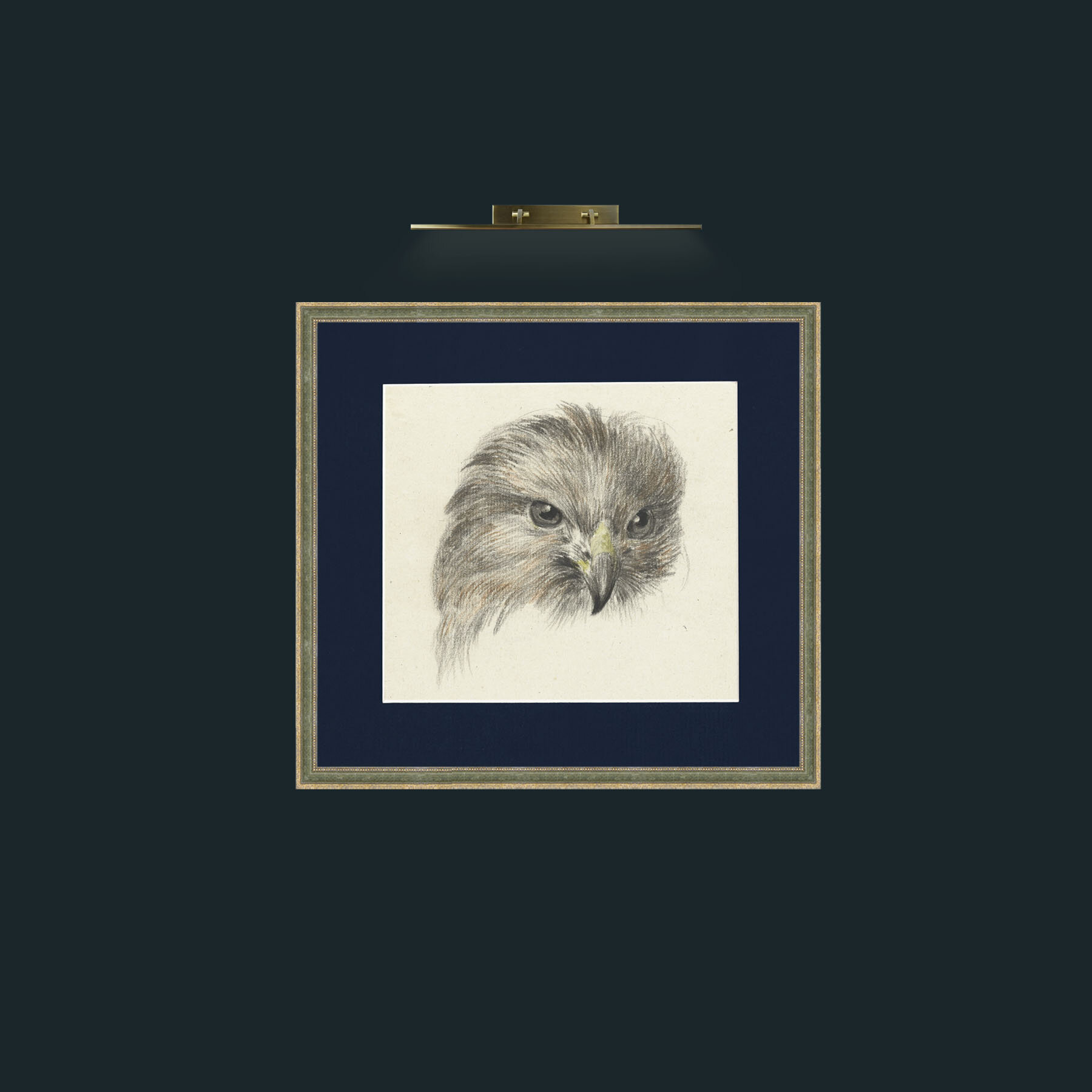 Art-Bird of Prey-Frame-2GreenGiltTextured-Mount-3Blue.jpg