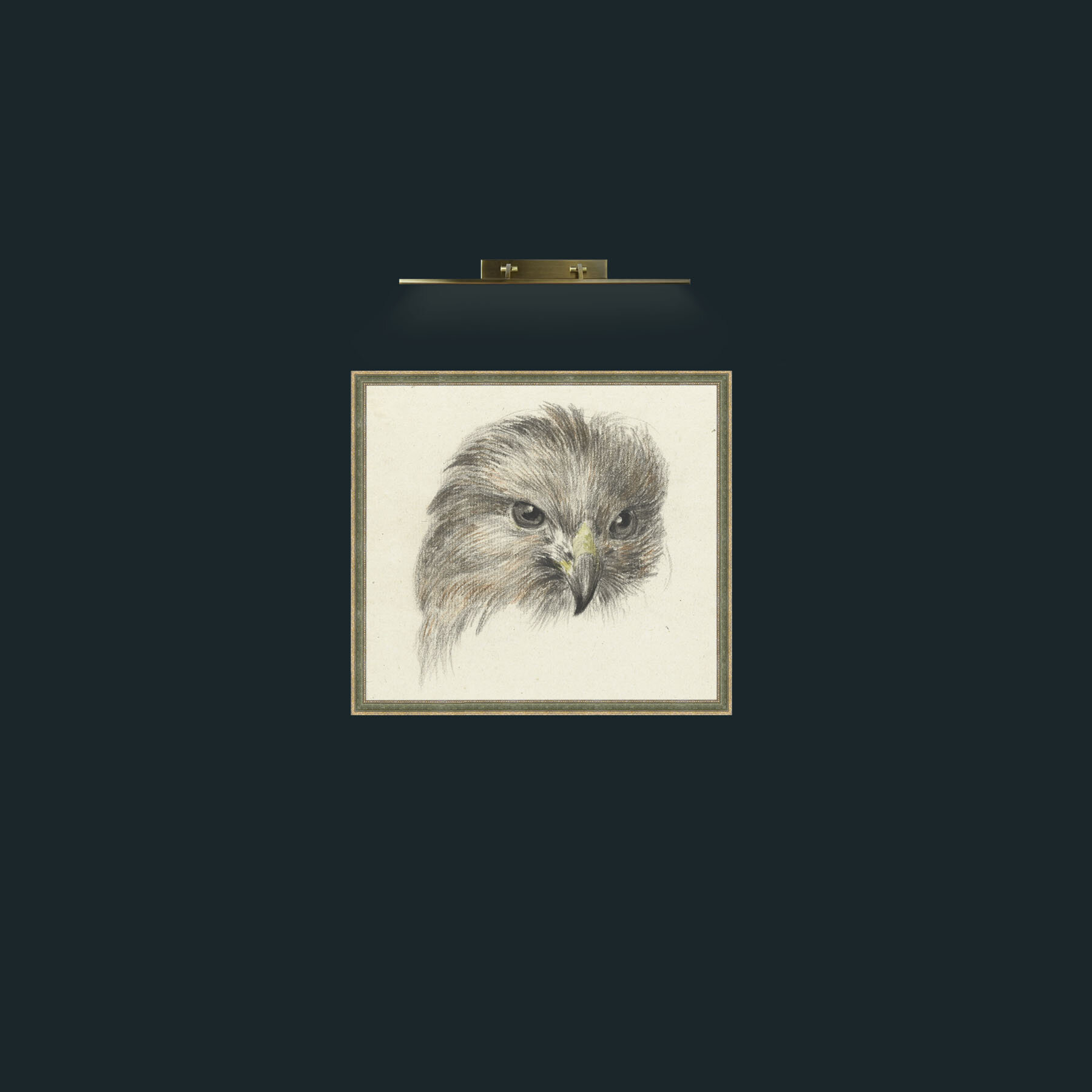 Art-Bird of Prey-Frame-2GreenGiltTextured.jpg