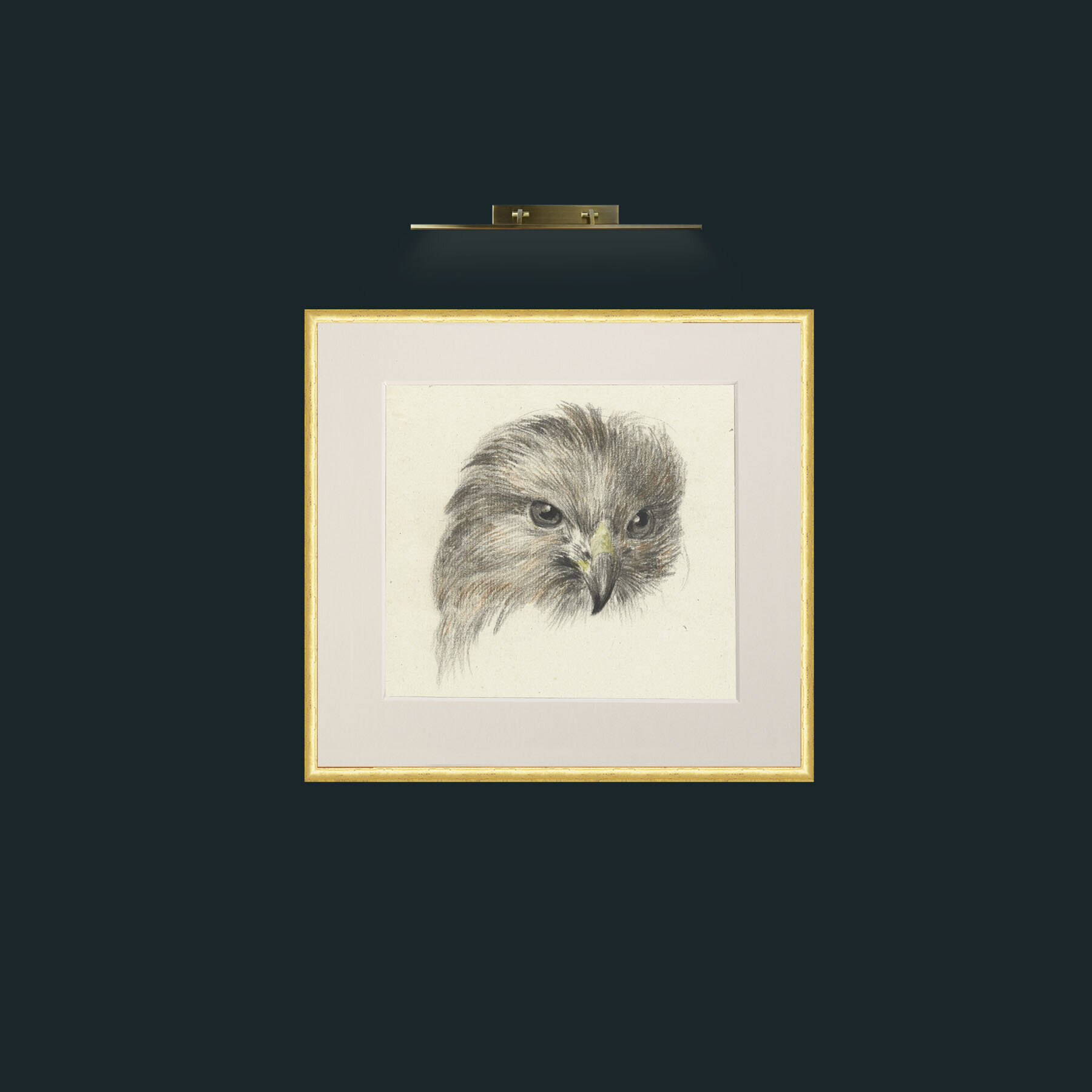 Art-Bird of Prey-Frame-3RoundedGilt-Mount-1Antique.jpg