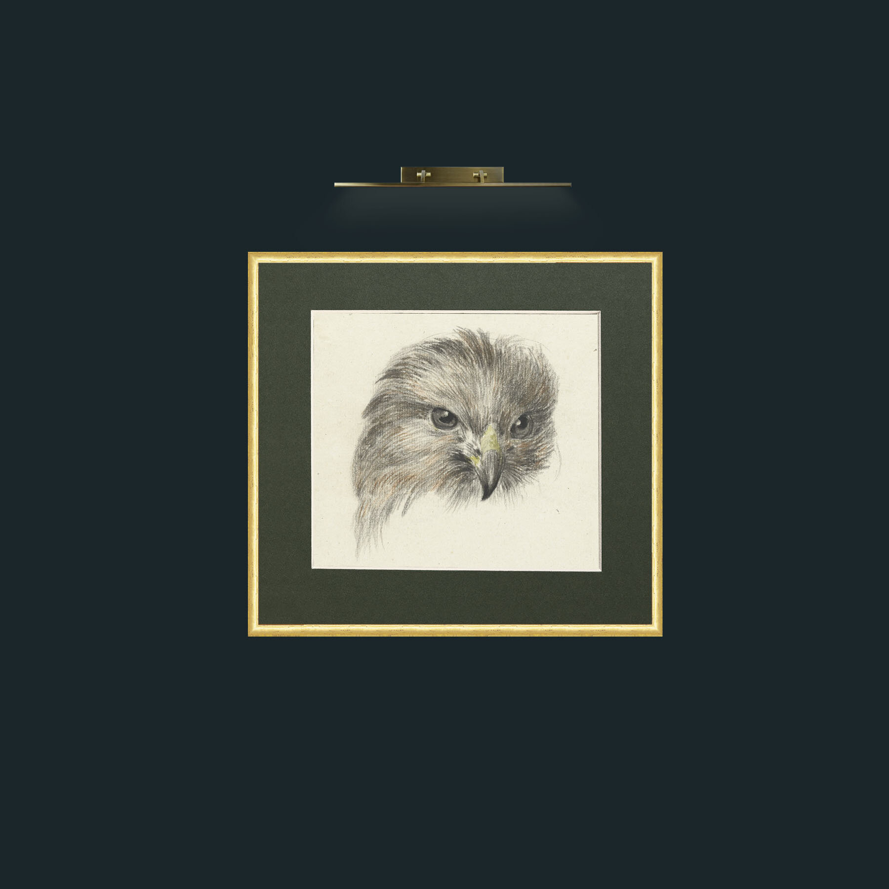 Art-Bird of Prey-Frame-3RoundedGilt-Mount-2Green.jpg