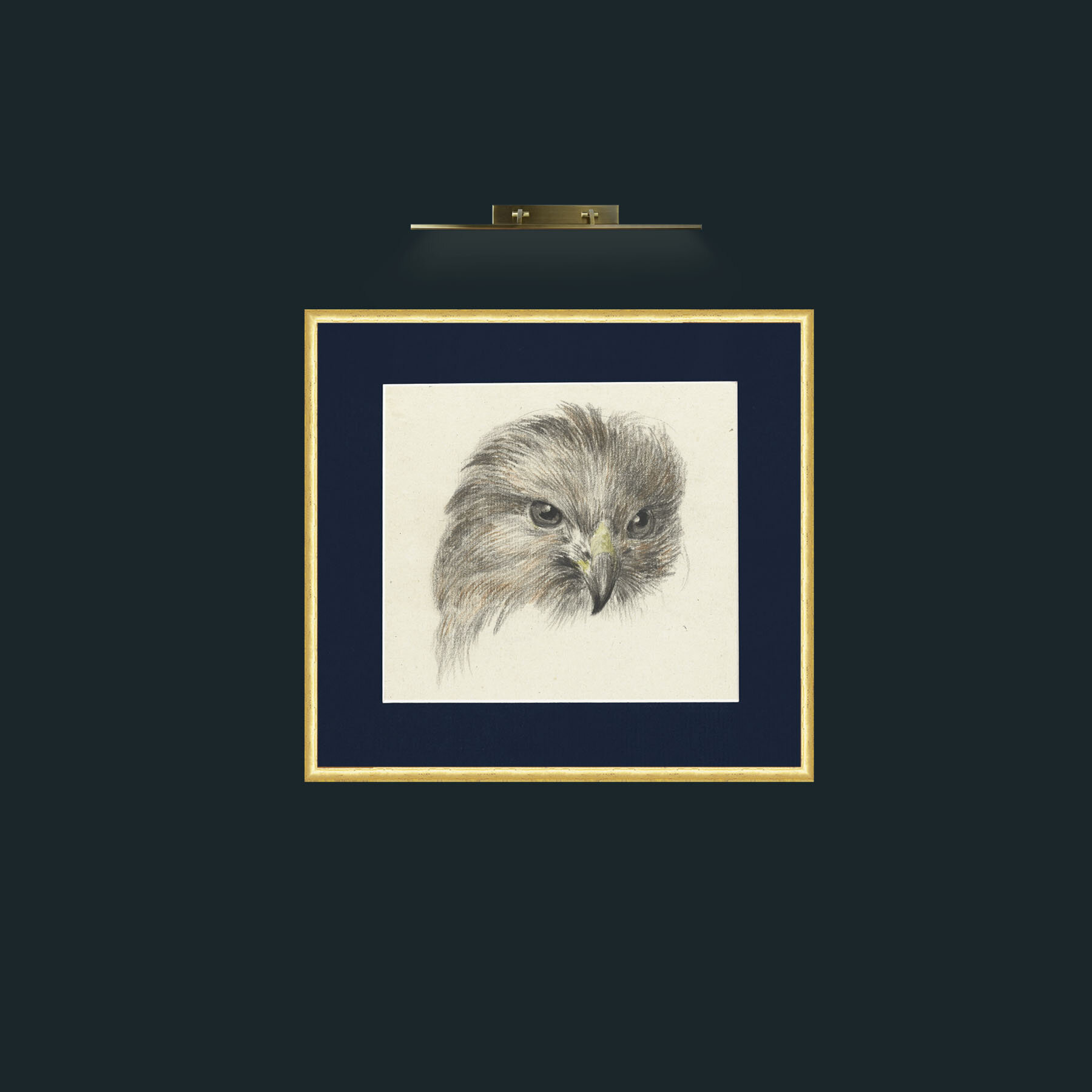 Art-Bird of Prey-Frame-3RoundedGilt-Mount-3Blue.jpg
