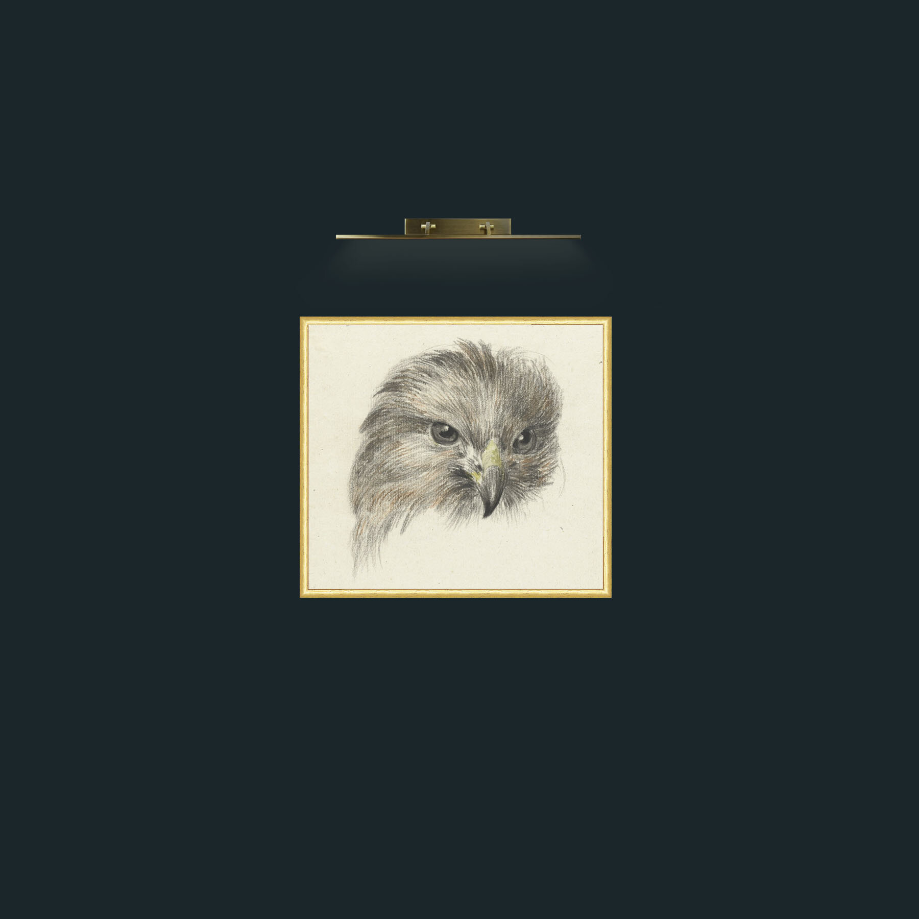 Art-Bird of Prey-Frame-3RoundedGilt.jpg