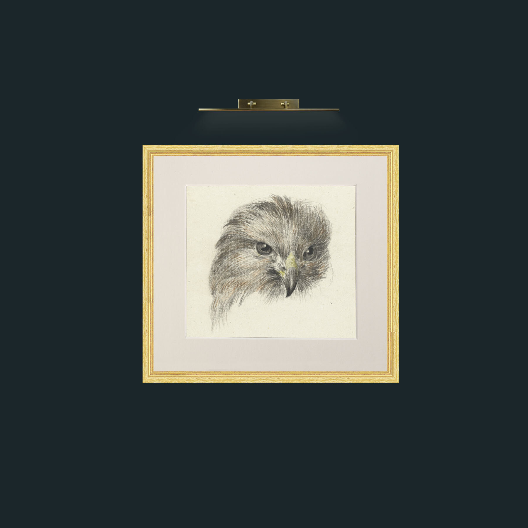 Art-Bird of Prey-Frame-4BevelledGilt-Mount-1Antique.jpg
