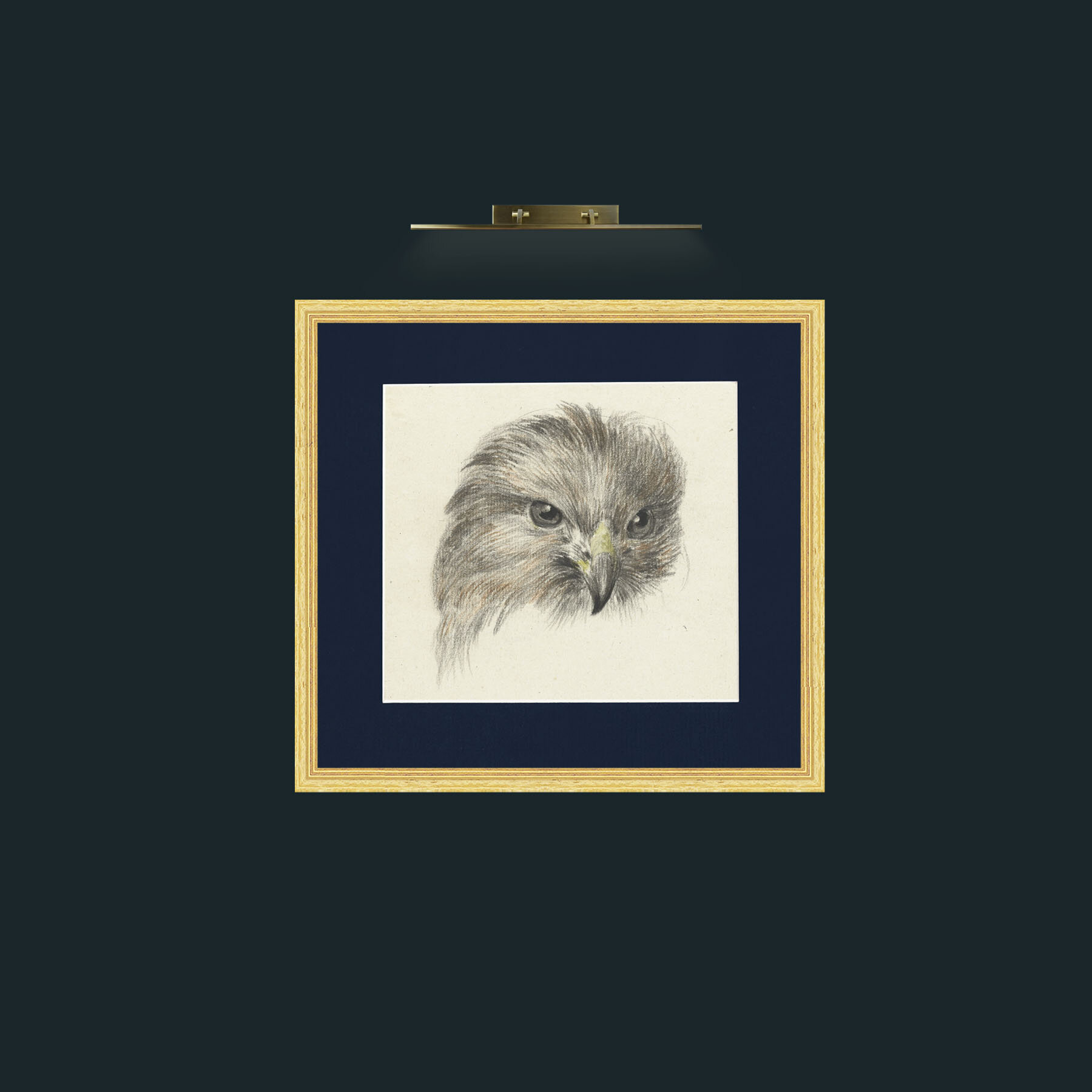 Art-Bird of Prey-Frame-4BevelledGilt-Mount-3Blue.jpg