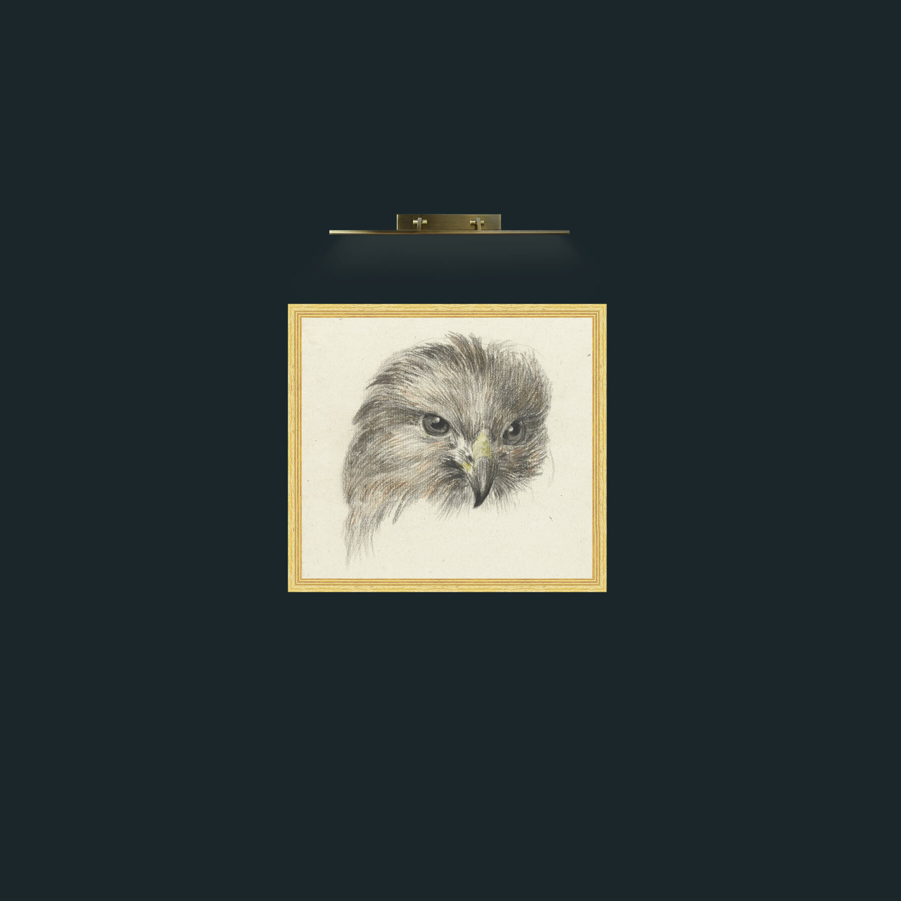 Art-Bird of Prey-Frame-4BevelledGilt.jpg