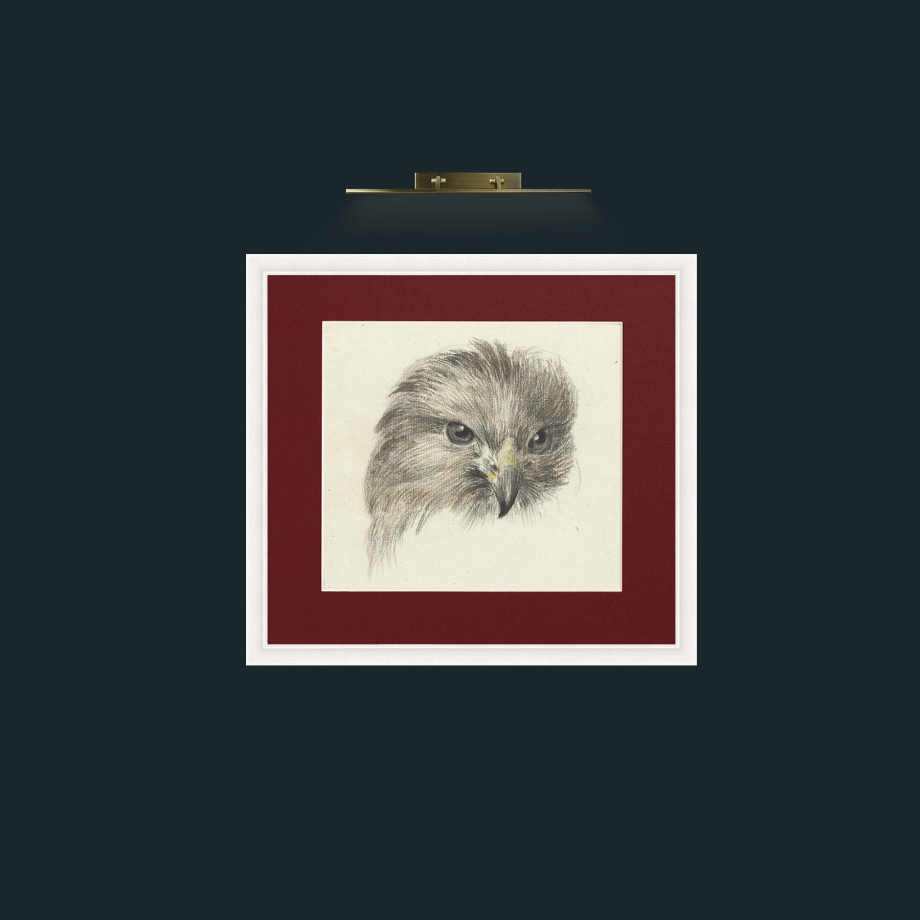 Art-Bird of Prey-Frame-5White-Mount-4Red.jpg