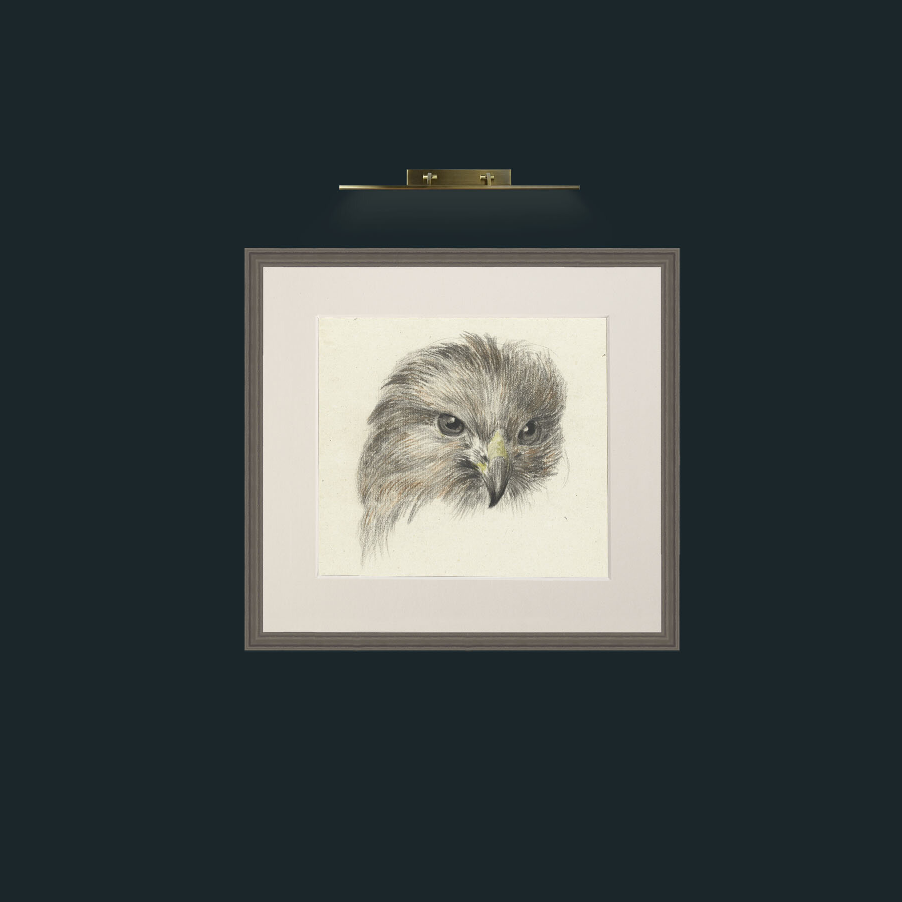 Art-Bird of Prey-Frame-6Grey-Mount-1Antique.jpg
