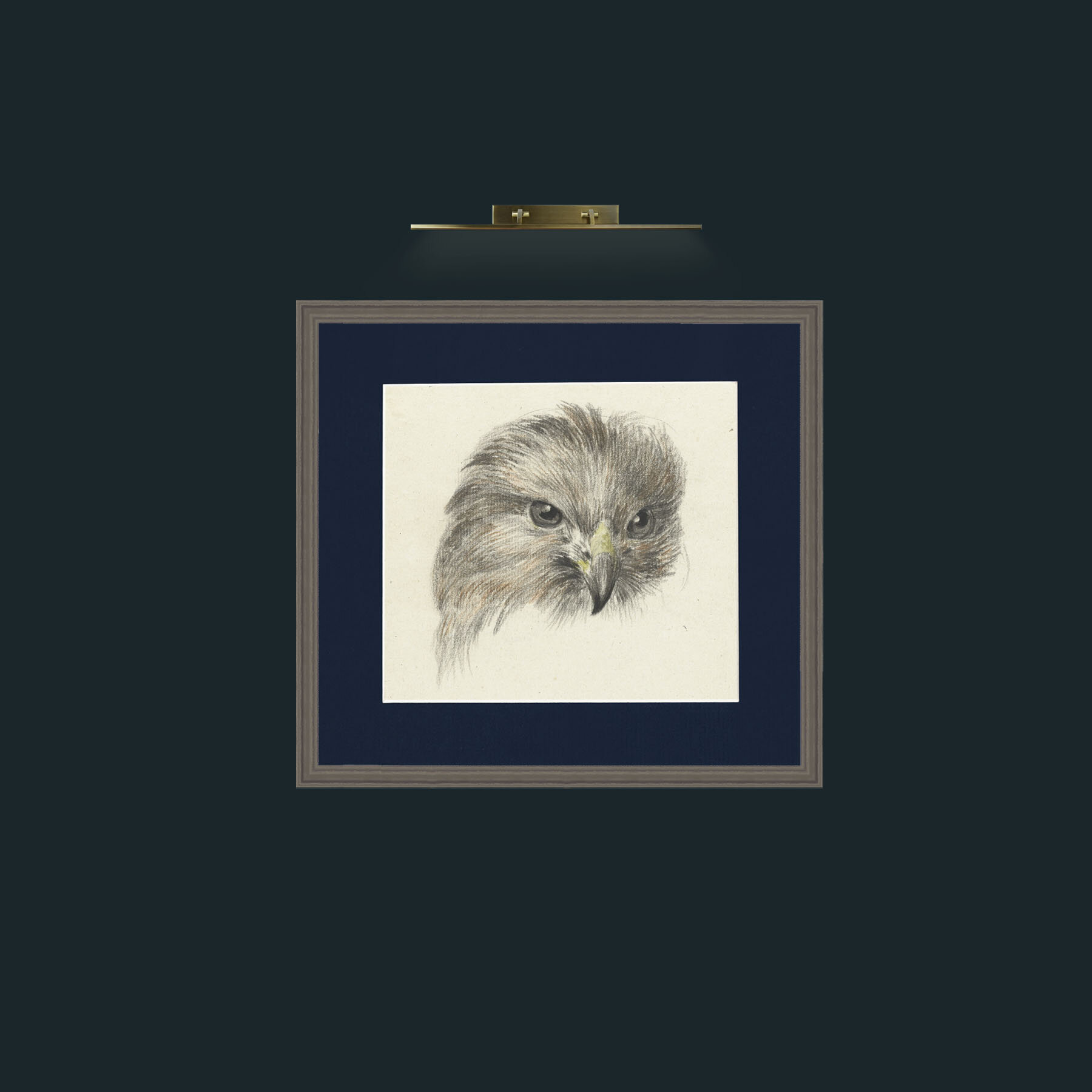 Art-Bird of Prey-Frame-6Grey-Mount-3Blue.jpg