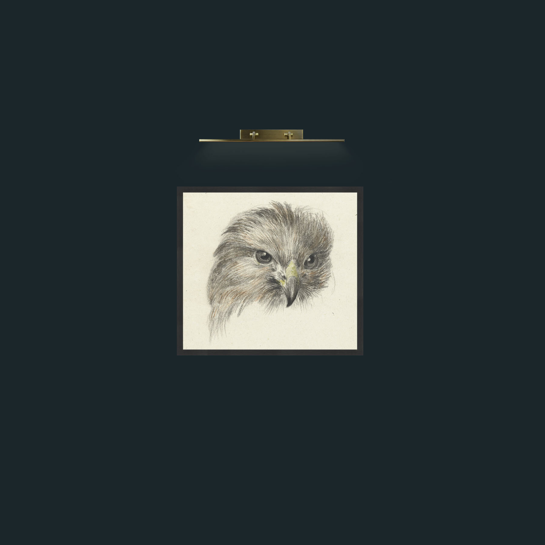 Art-Bird of Prey-Frame-7Black.jpg