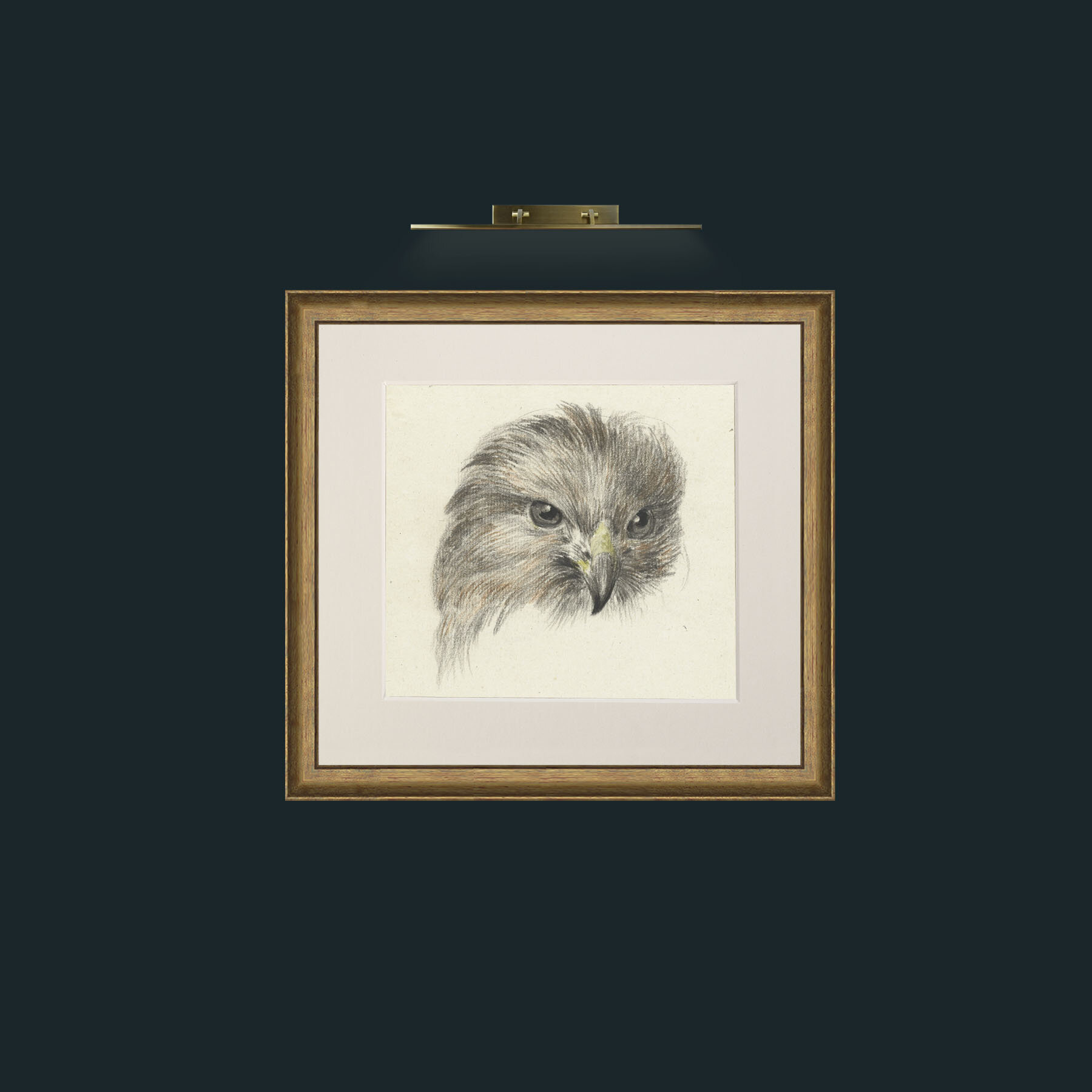 Art-Bird of Prey-Frame-8RedGreenGilt-Mount-1Antique.jpg