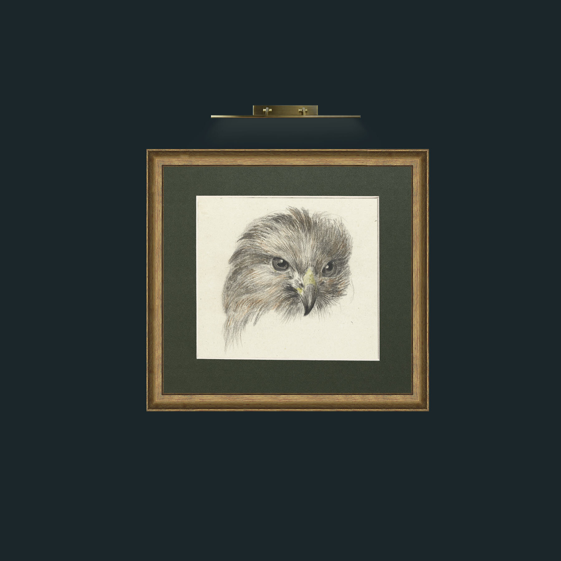 Art-Bird of Prey-Frame-8RedGreenGilt-Mount-2Green.jpg