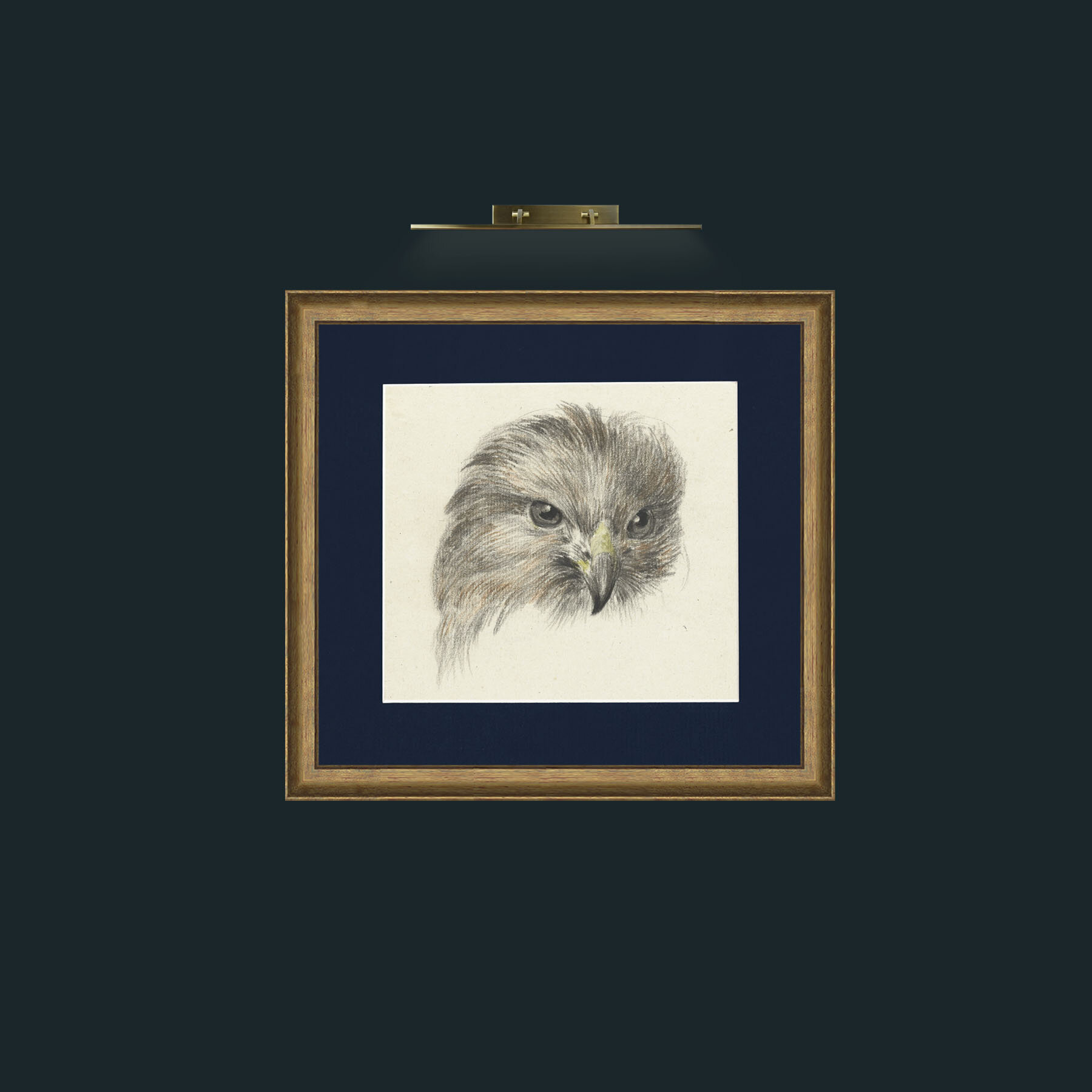 Art-Bird of Prey-Frame-8RedGreenGilt-Mount-3Blue.jpg