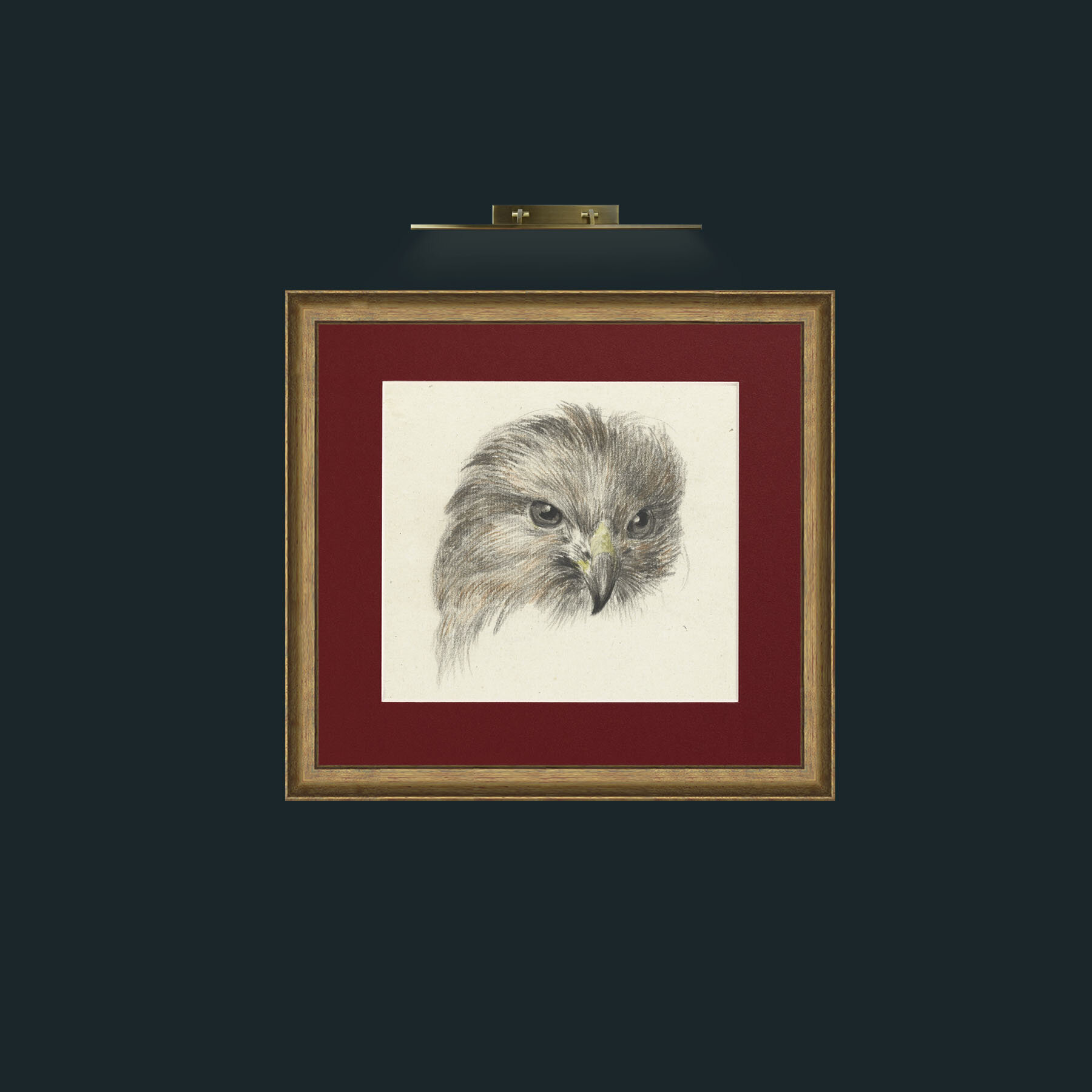 Art-Bird of Prey-Frame-8RedGreenGilt-Mount-4Red.jpg