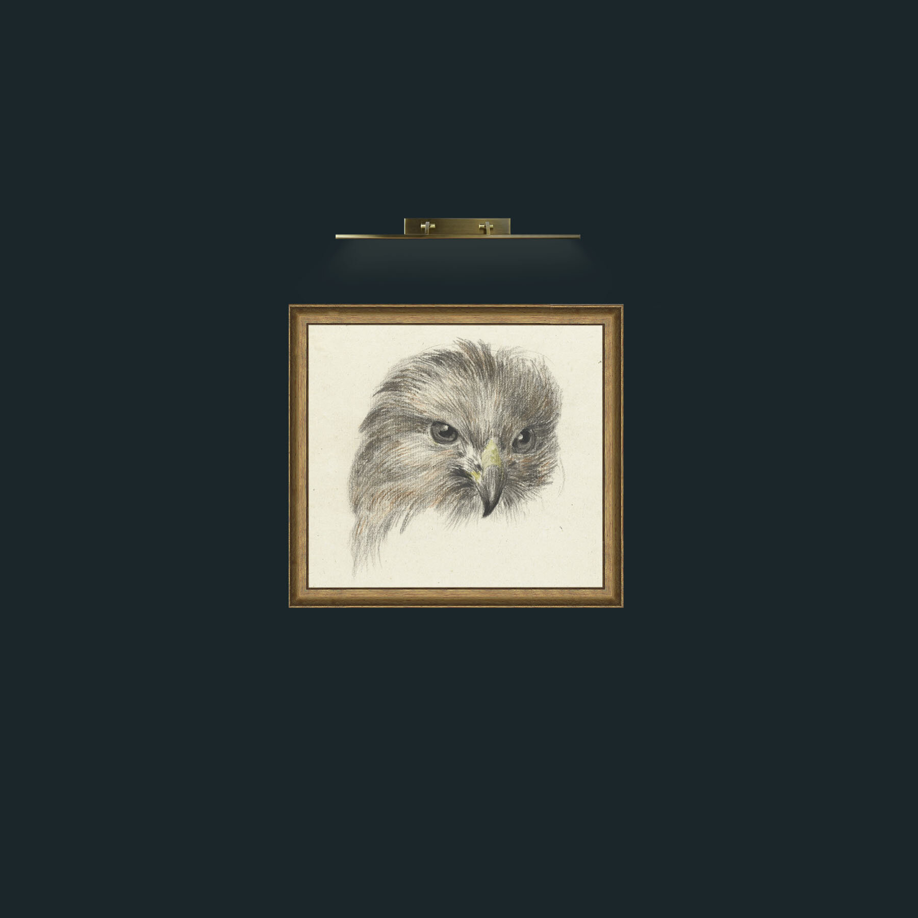 Art-Bird of Prey-Frame-8RedGreenGilt.jpg