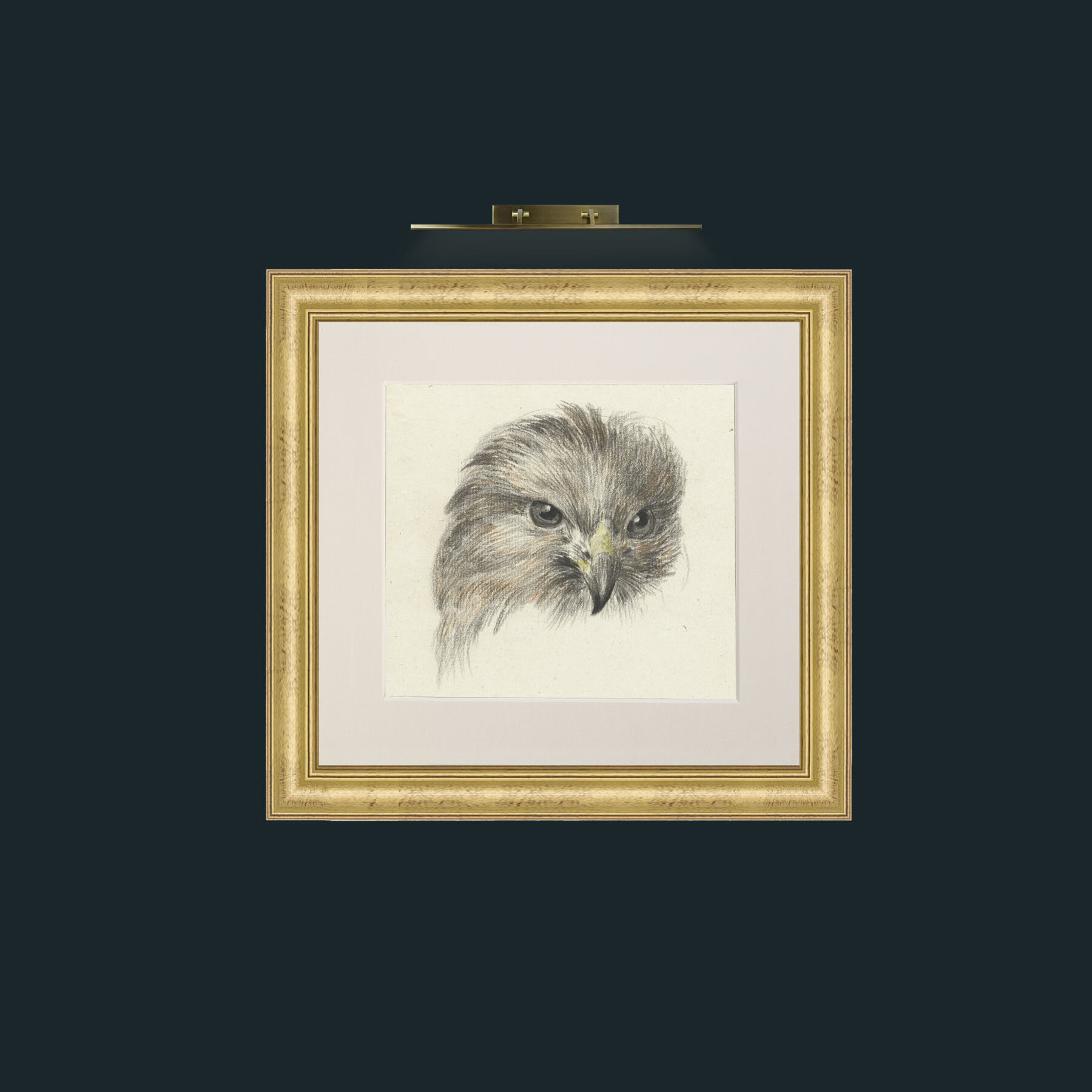 Art-Bird of Prey-Frame-9WideGilt-Mount-1Antique.jpg