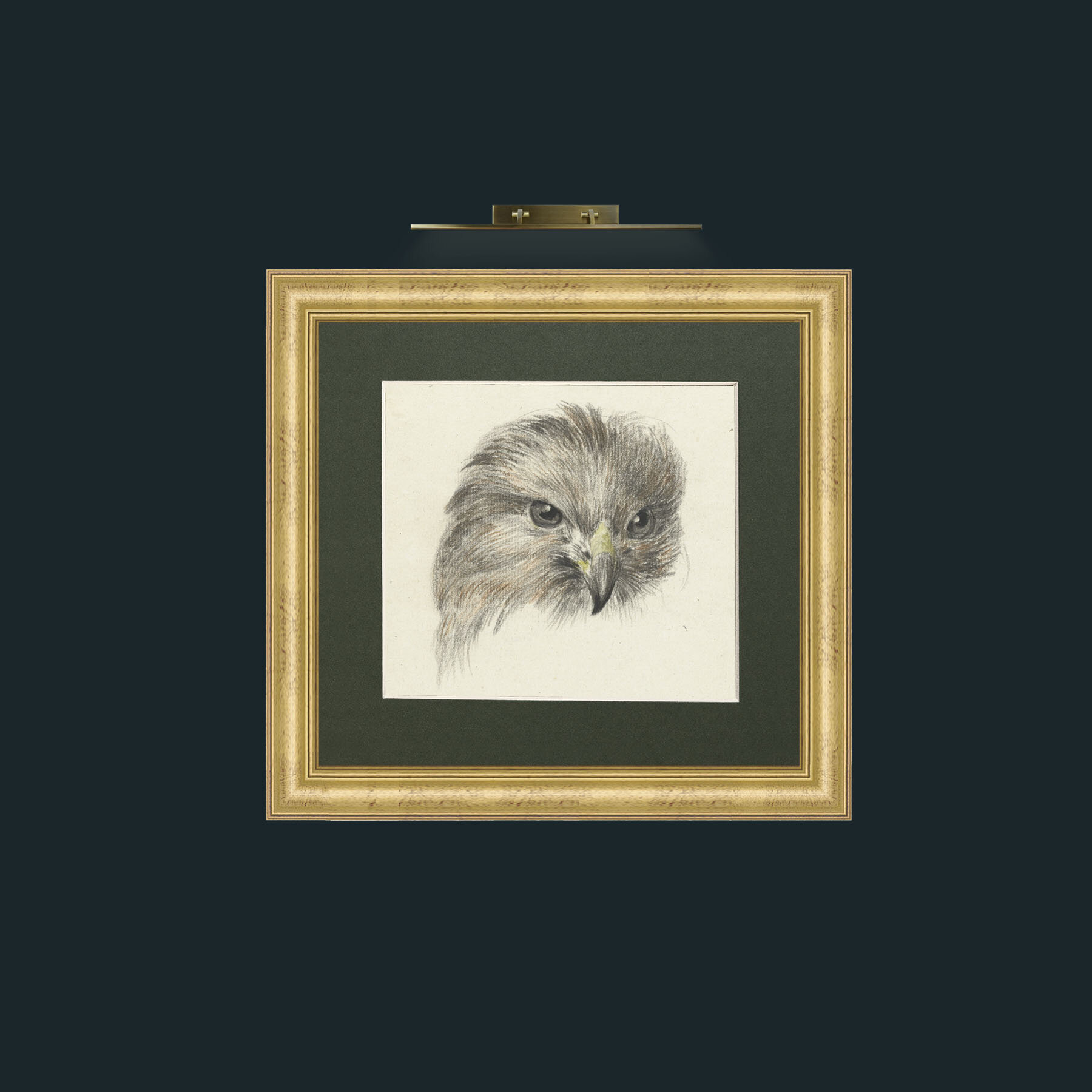Art-Bird of Prey-Frame-9WideGilt-Mount-2Green.jpg