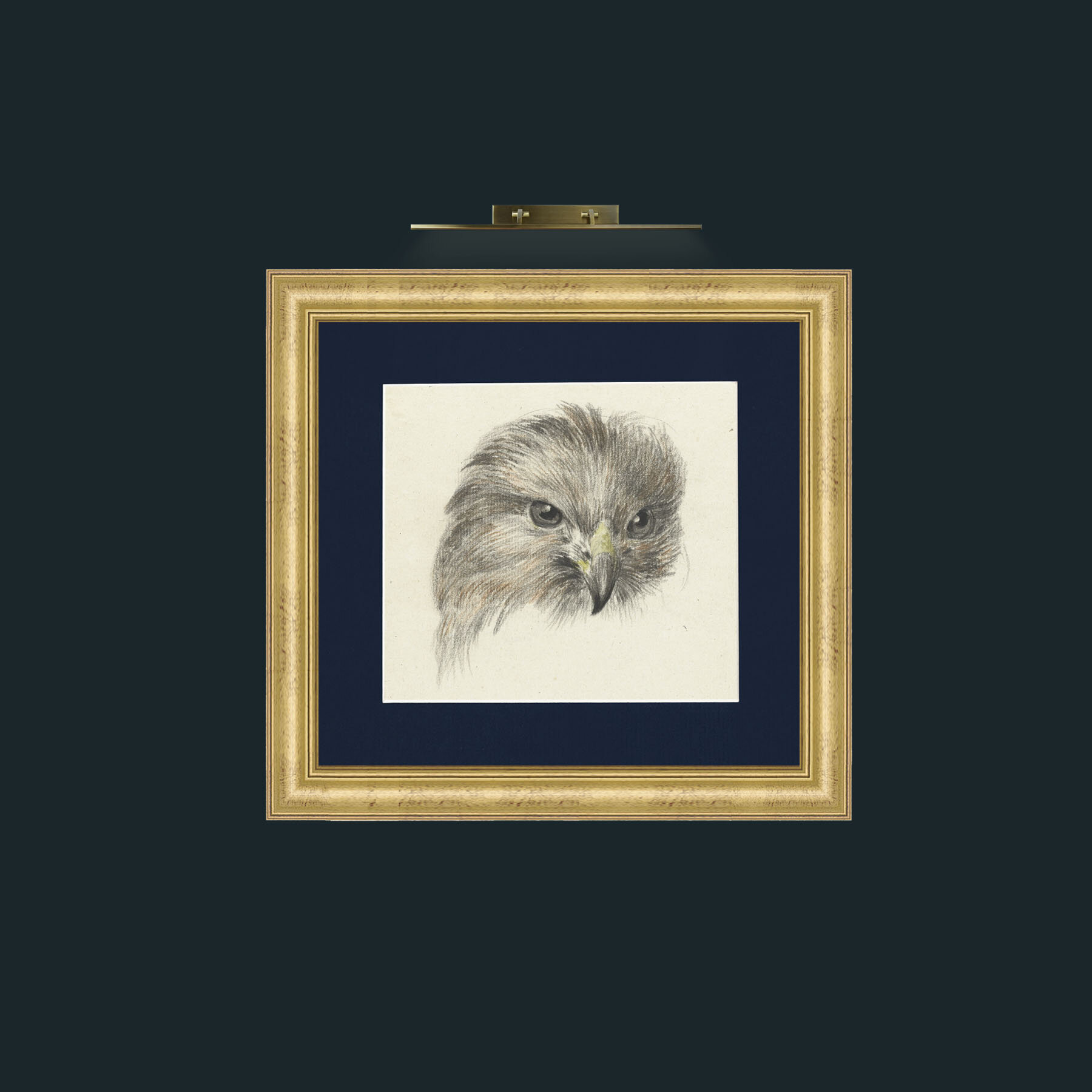 Art-Bird of Prey-Frame-9WideGilt-Mount-3Blue.jpg