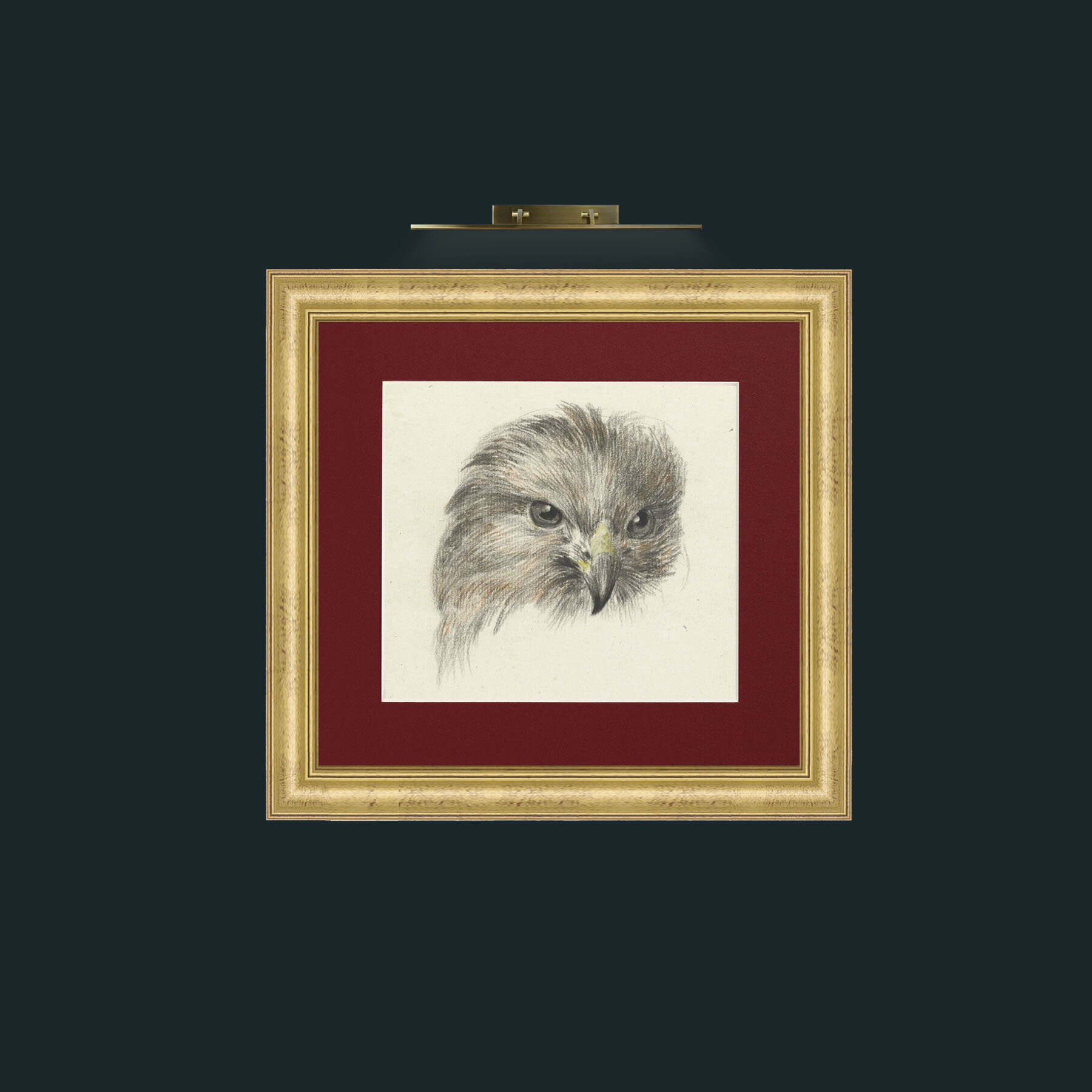 Art-Bird of Prey-Frame-9WideGilt-Mount-4Red.jpg