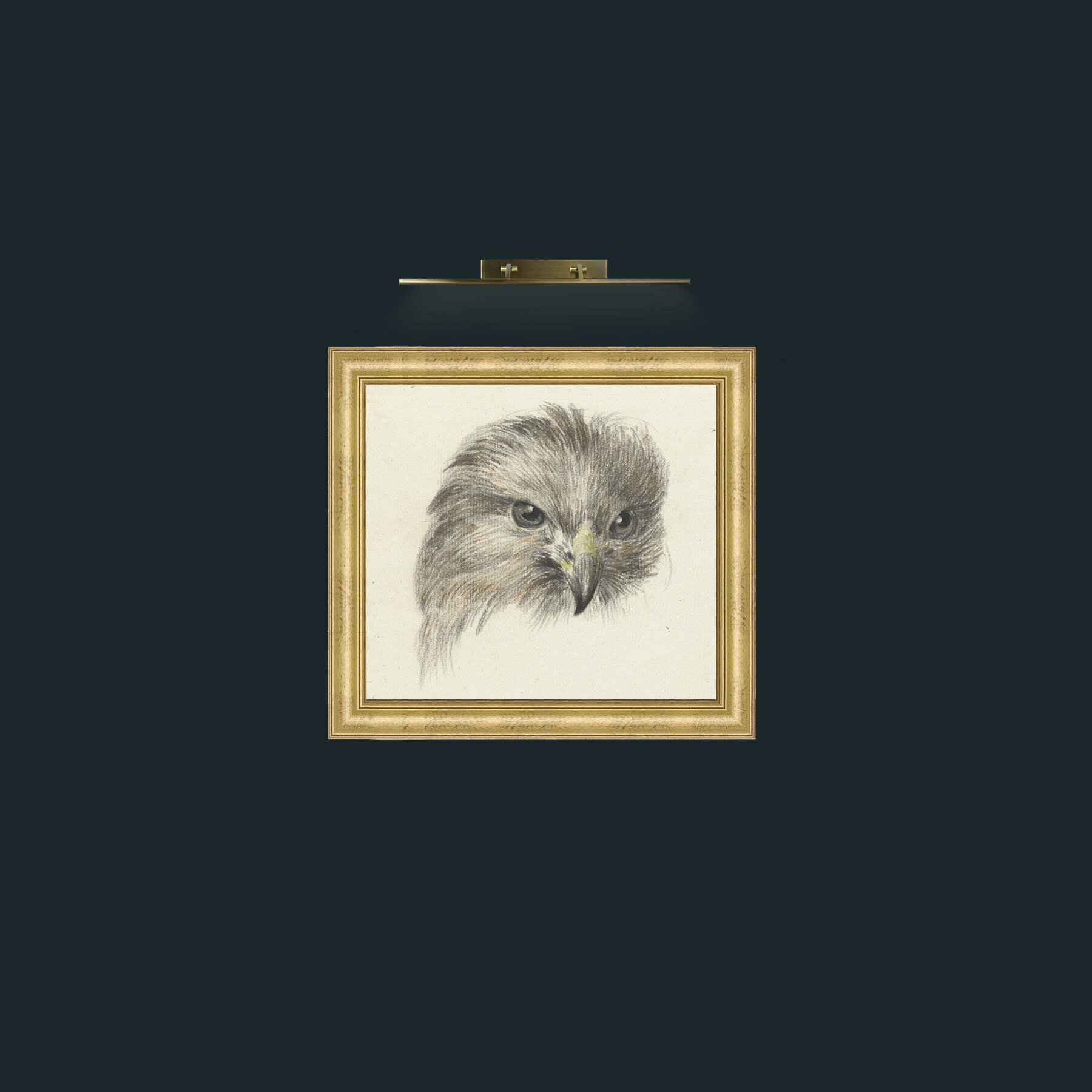 Art-Bird of Prey-Frame-9WideGilt.jpg