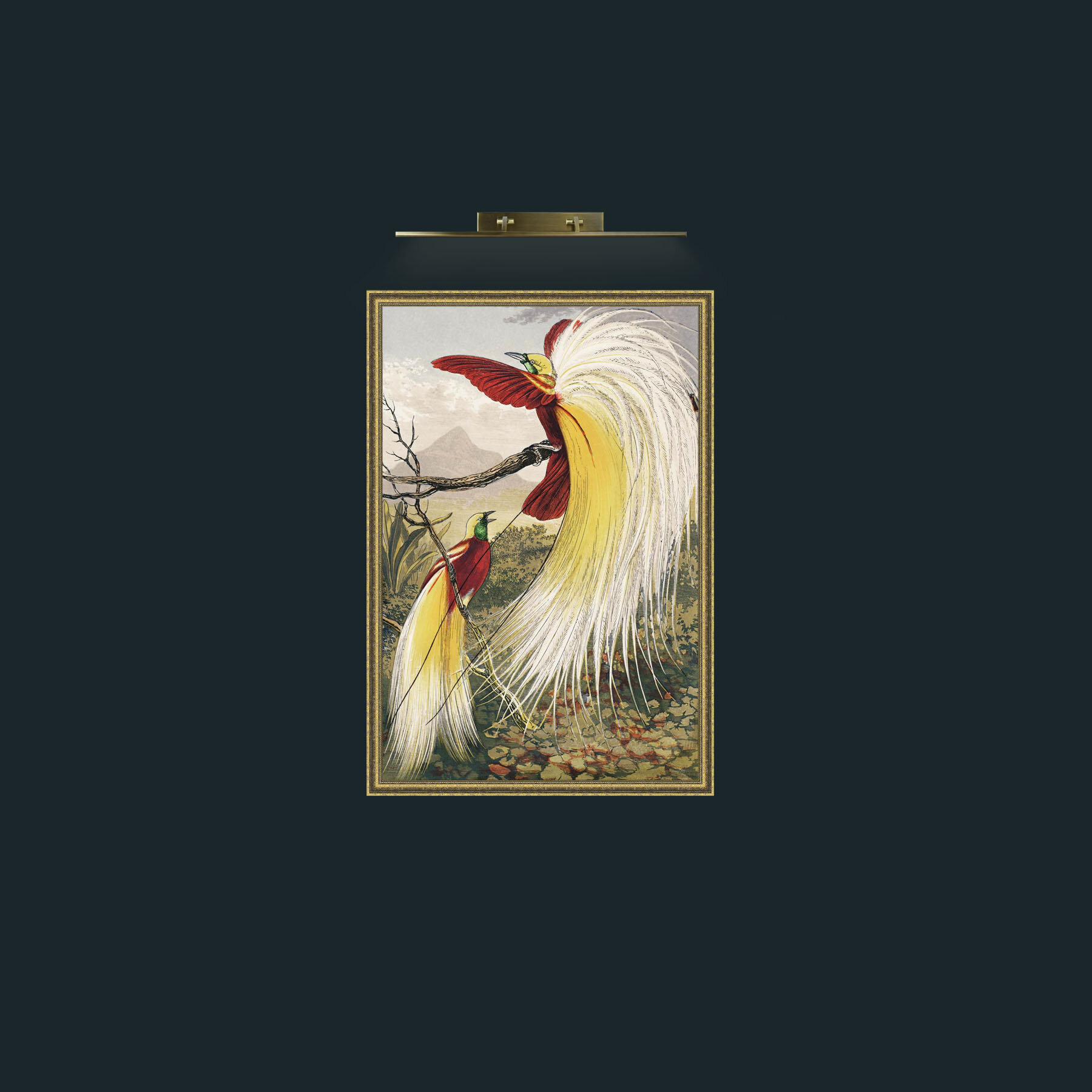 Art-Birds of Paradise-Frame-1GiltTextured.jpg