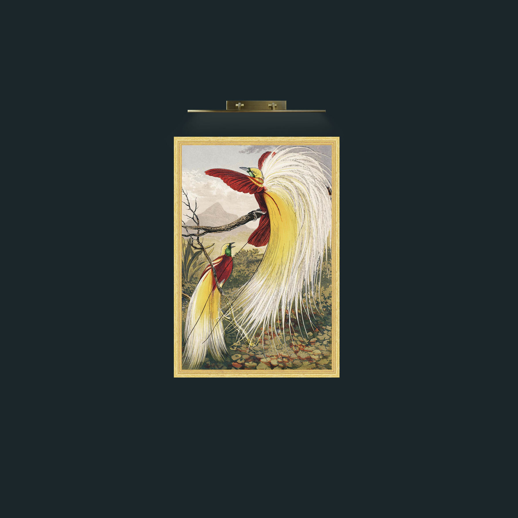 Art-Birds of Paradise-Frame-4BevelledGilt.jpg