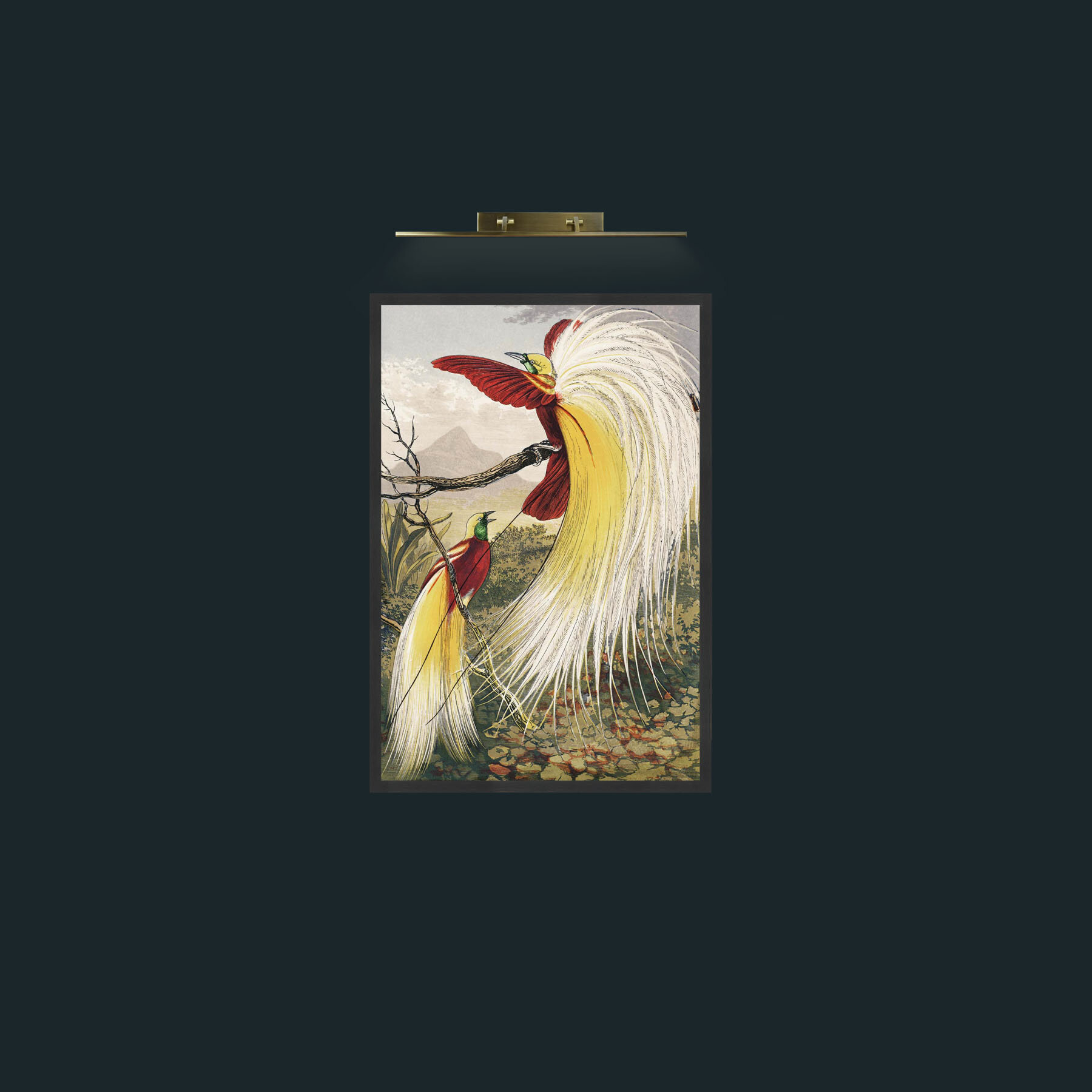 Art-Birds of Paradise-Frame-7Black.jpg