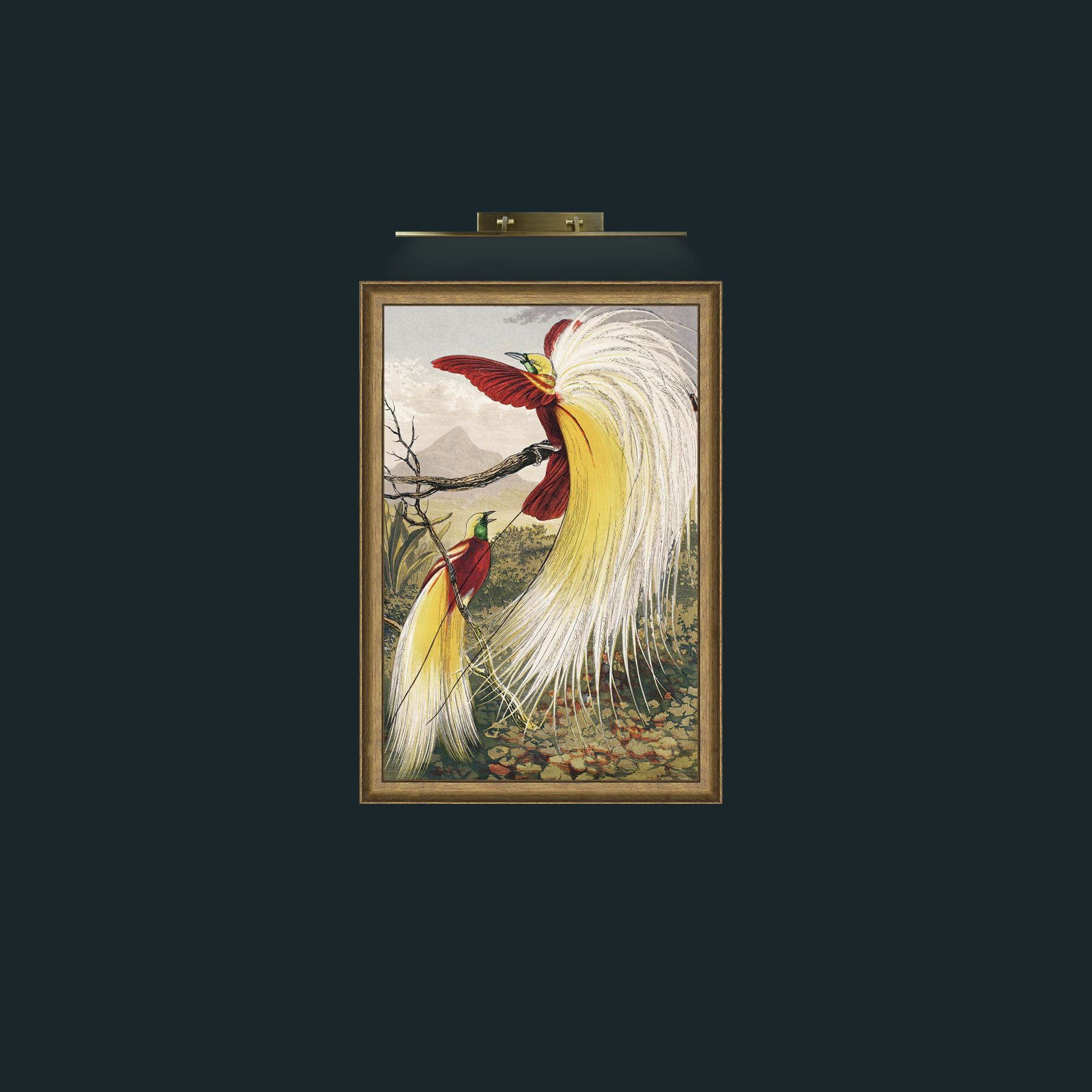 Art-Birds of Paradise-Frame-8RedGreenGilt.jpg