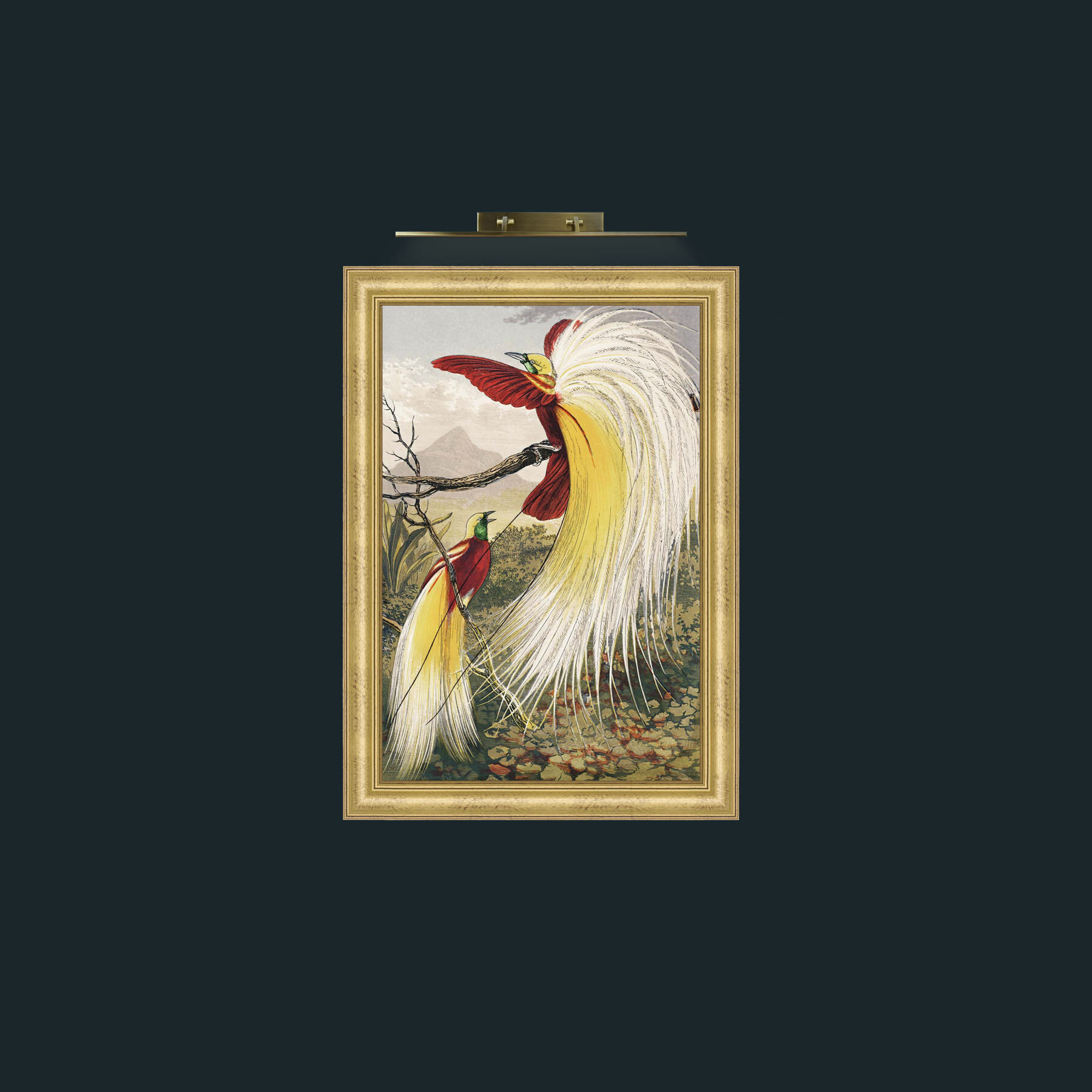 Art-Birds of Paradise-Frame-9WideGilt.jpg