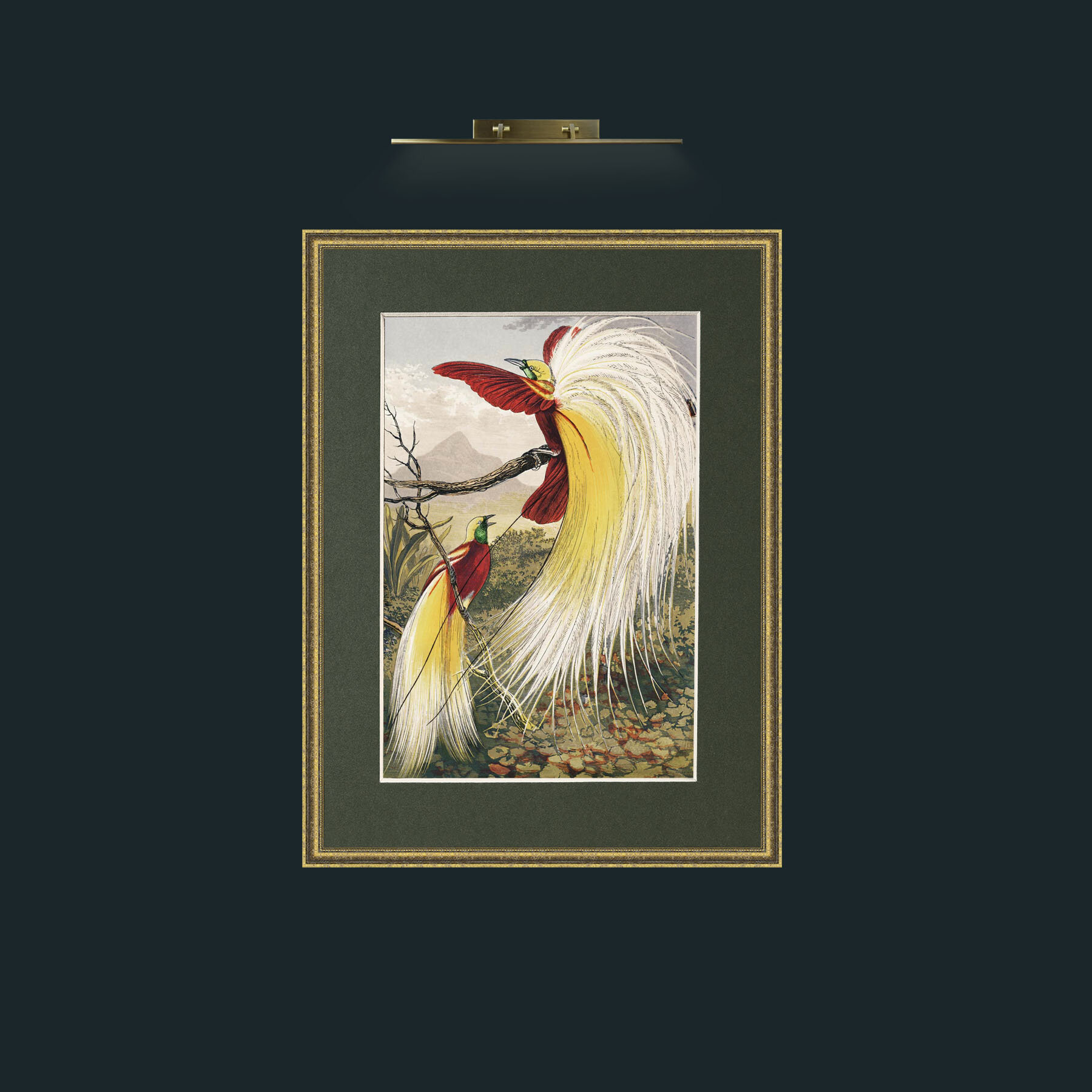 Art-Birds of Paradise.jpg-Frame-1TexturedGilt-Mount-2Green.jpg