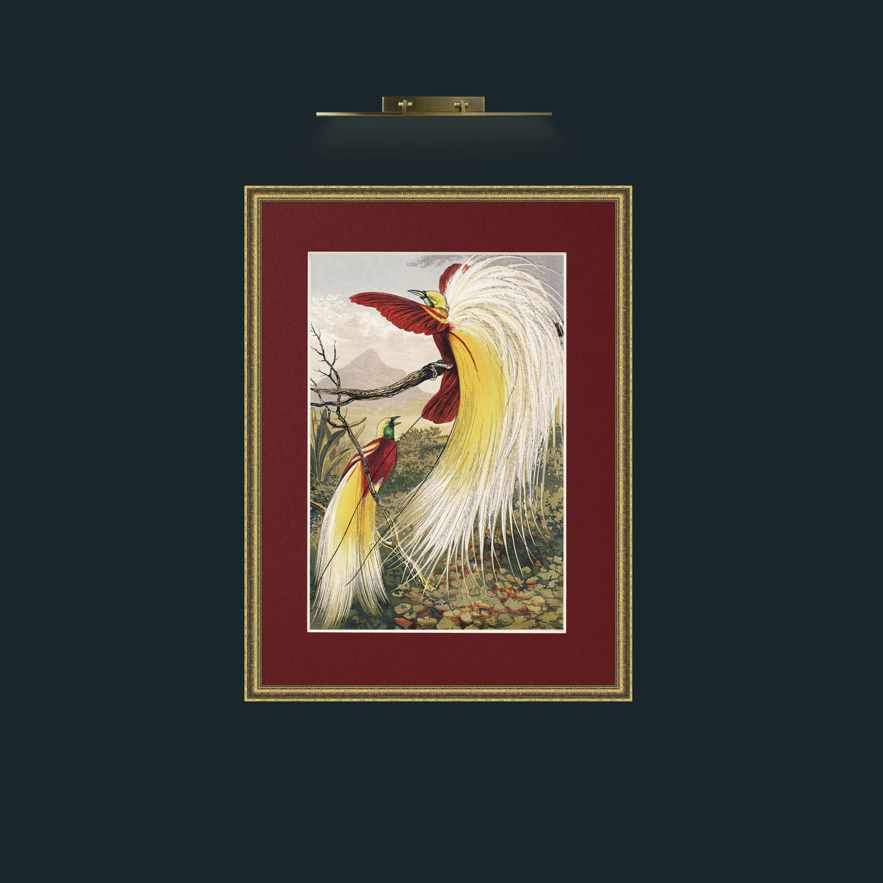 Art-Birds of Paradise.jpg-Frame-1TexturedGilt-Mount-4Red.jpg