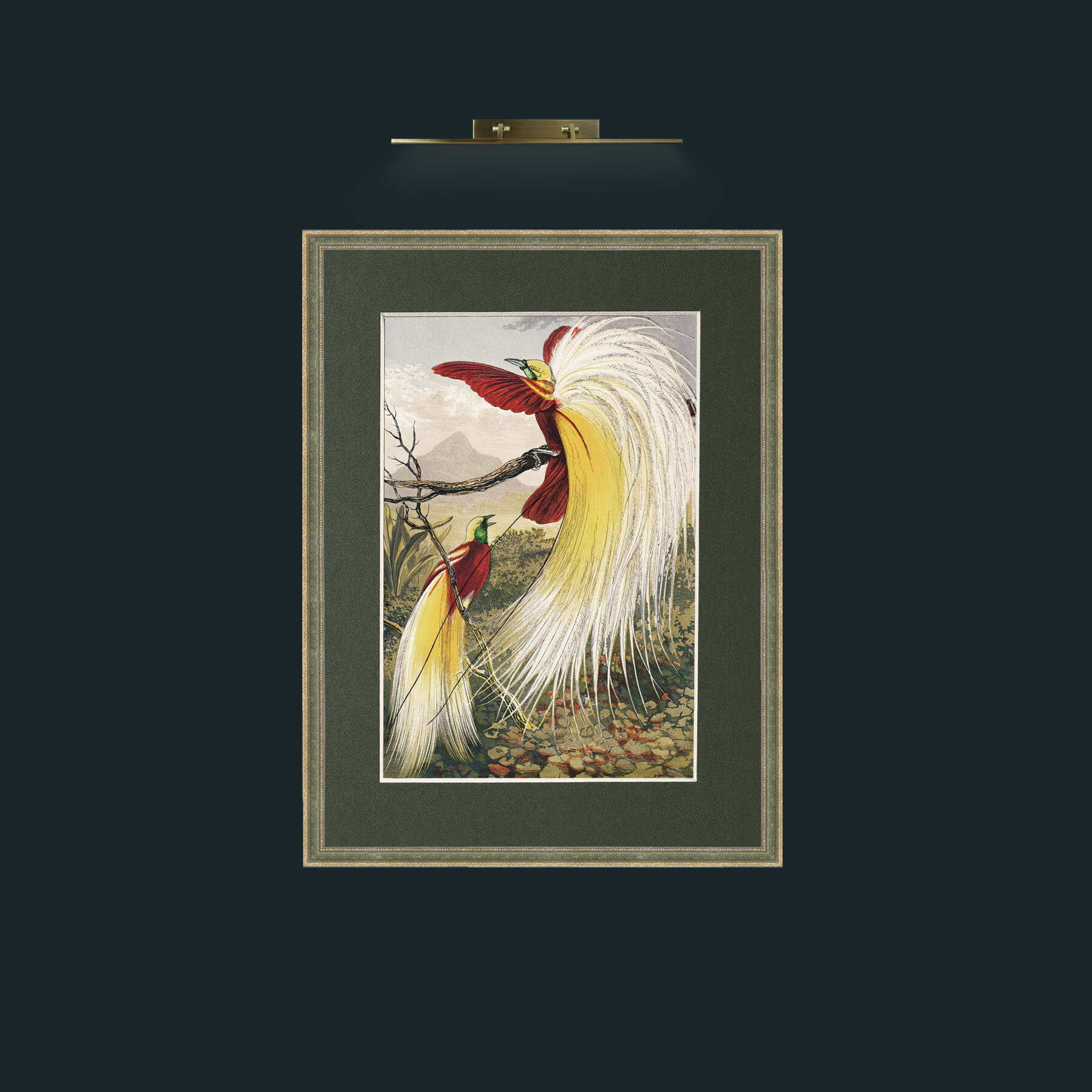 Art-Birds of Paradise.jpg-Frame-2GreenGiltTextured-Mount-2Green.jpg