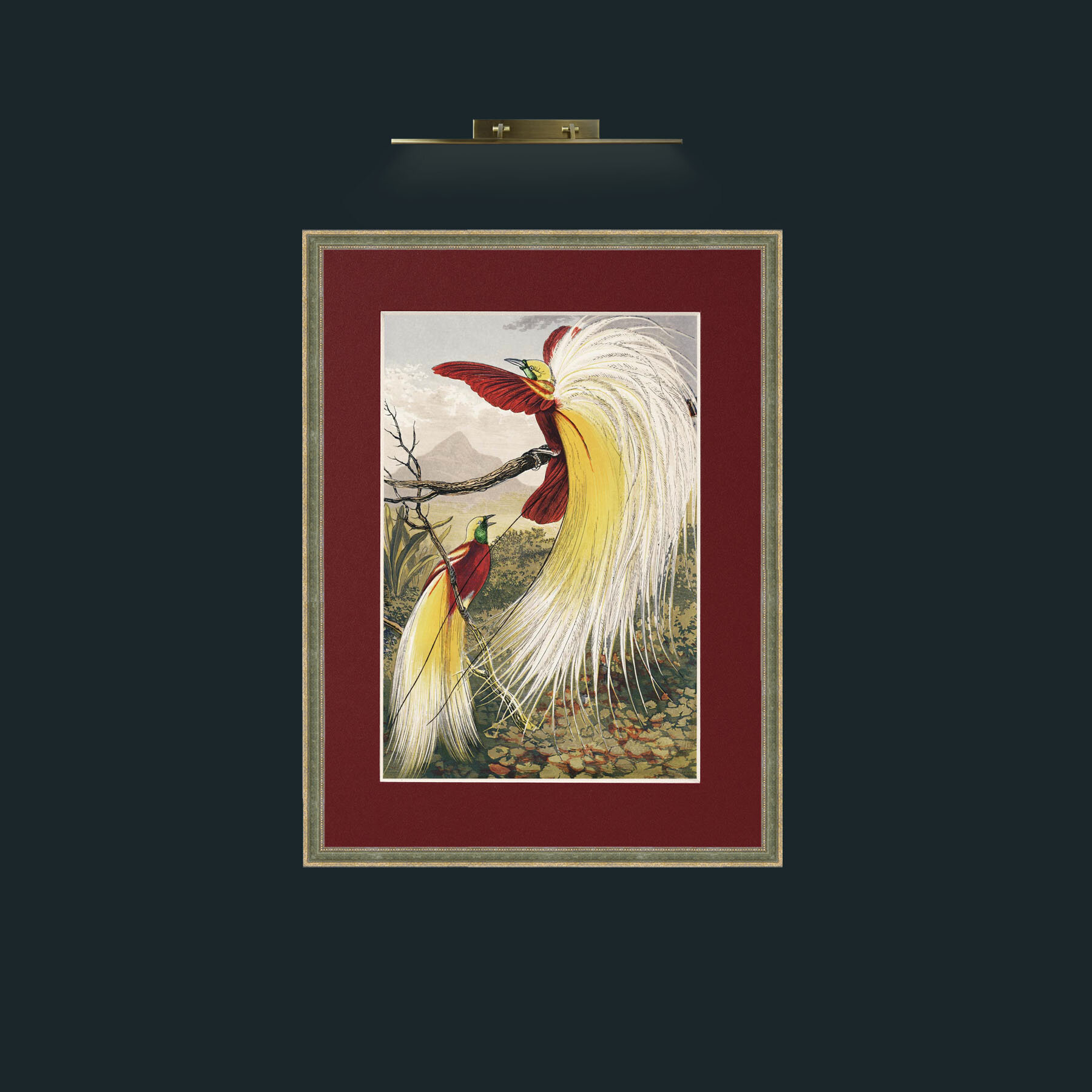 Art-Birds of Paradise.jpg-Frame-2GreenGiltTextured-Mount-4Red.jpg