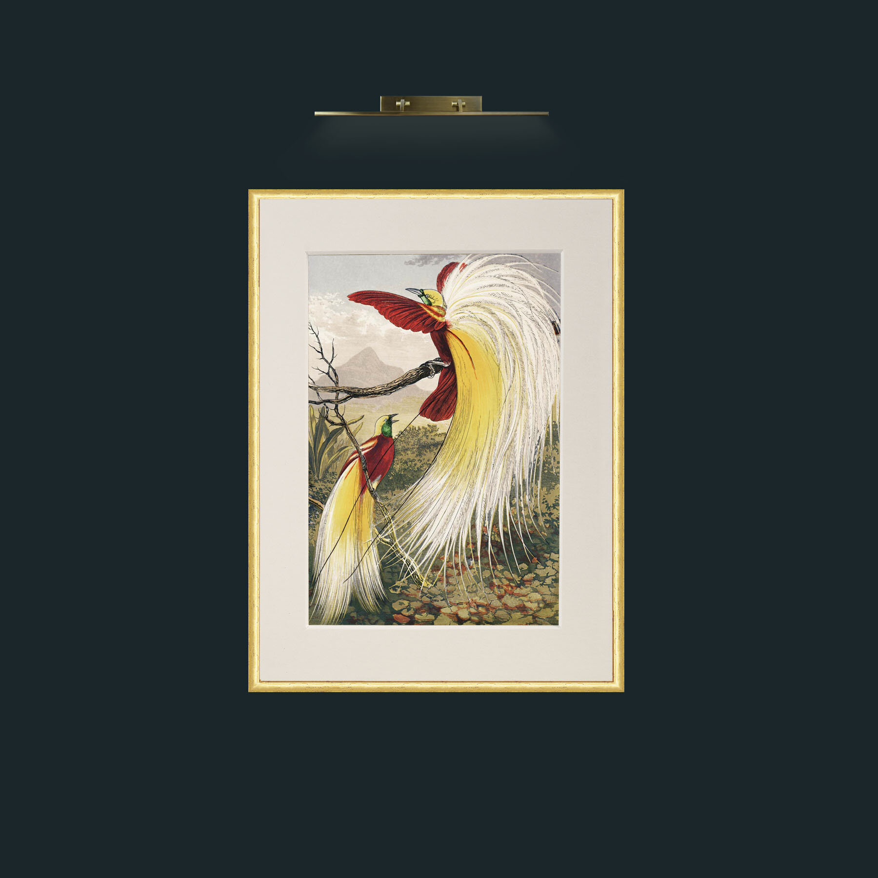 Art-Birds of Paradise.jpg-Frame-3RoundedGilt-Mount-1Antique.jpg