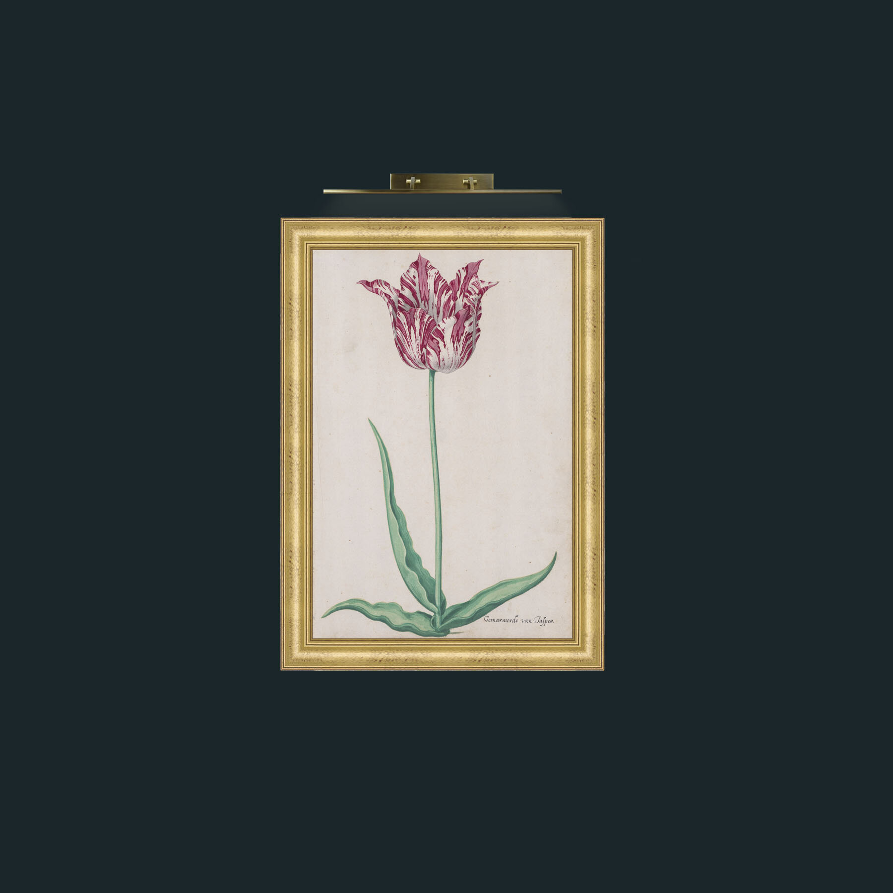 Art-Tulip-Frame-9WideGilt.jpg