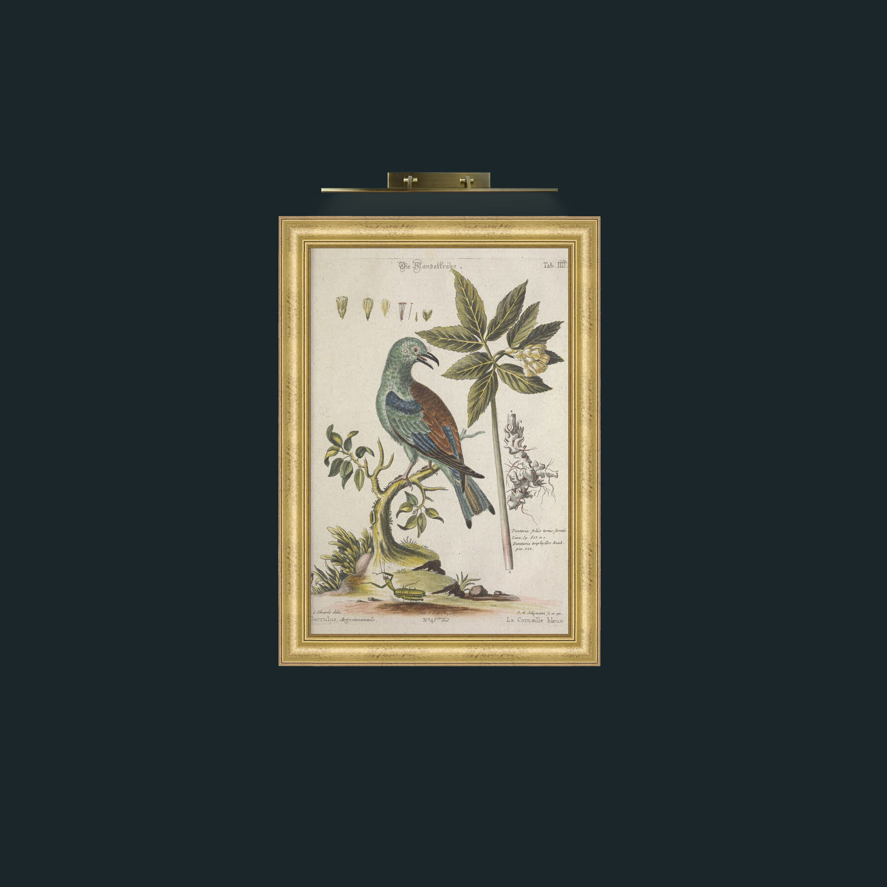 Art-Blue Corneille-Frame-9WideGilt.jpg