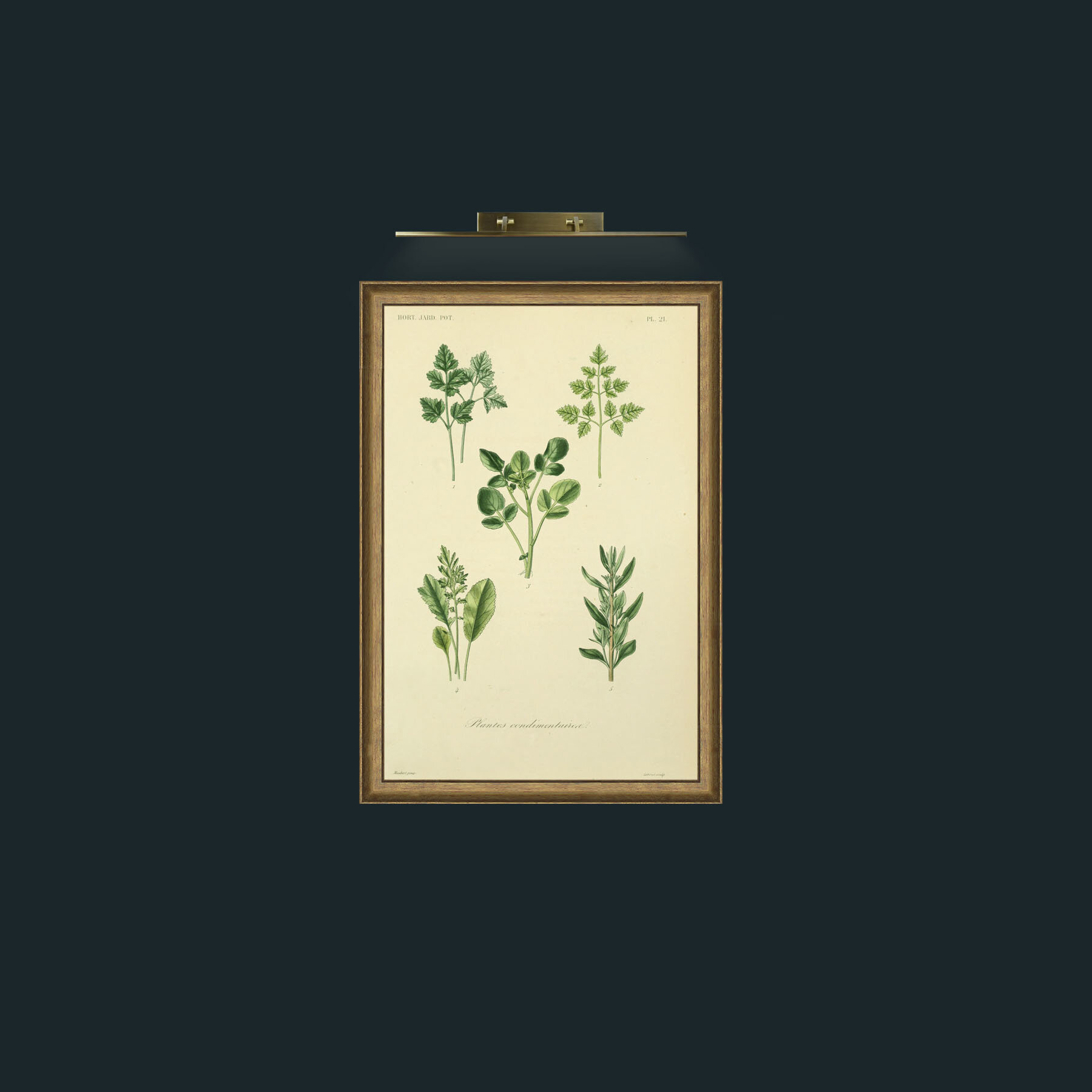 Art- Plantes Condimentairea-Frame-8RedGreenGilt.jpg