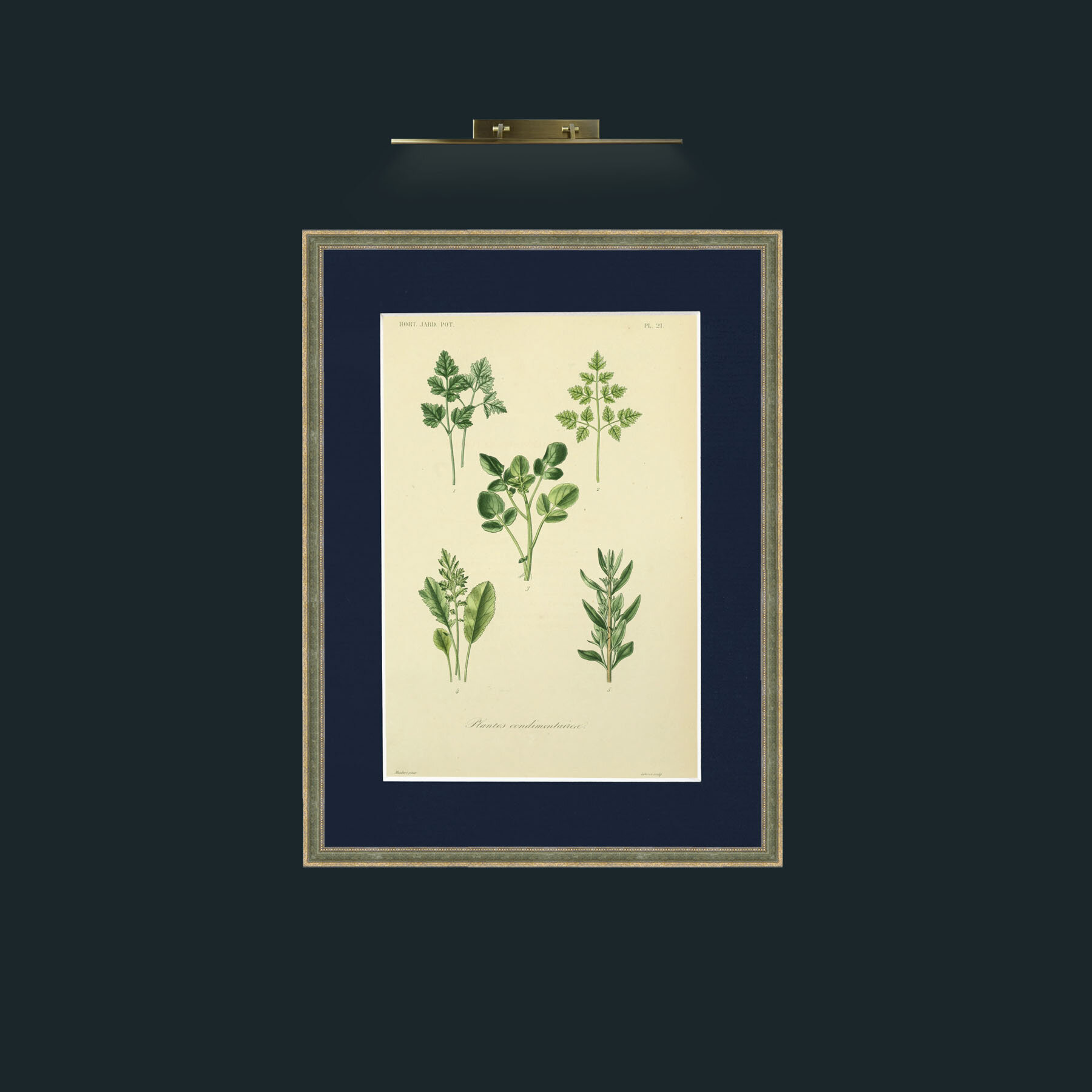 Art- Plantes Condimentairea.jpg-Frame-2GreenGiltTextured-Mount-3Blue.jpg