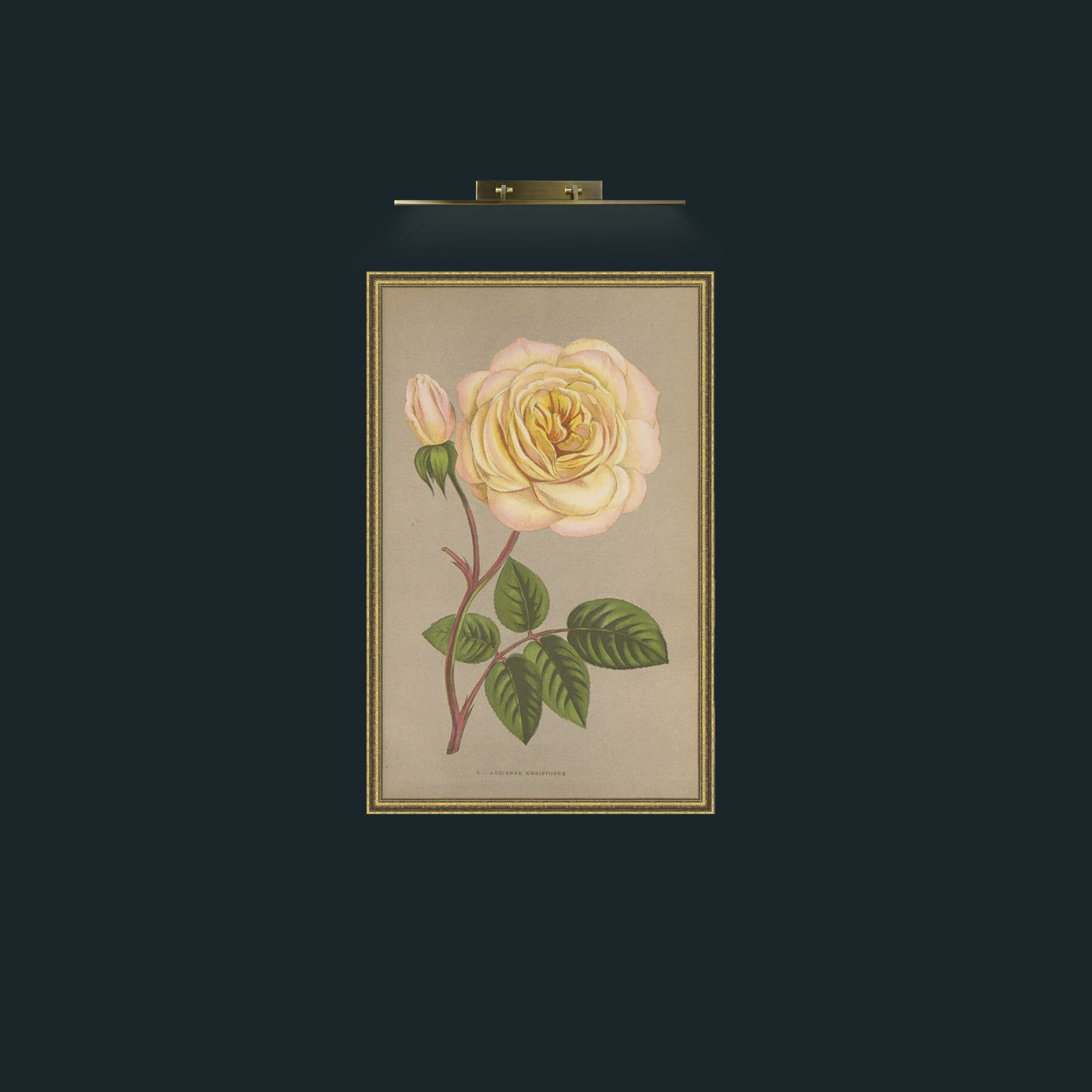 Art-Adrienne Christophe.jpg-Frame-1GiltTextured.jpg