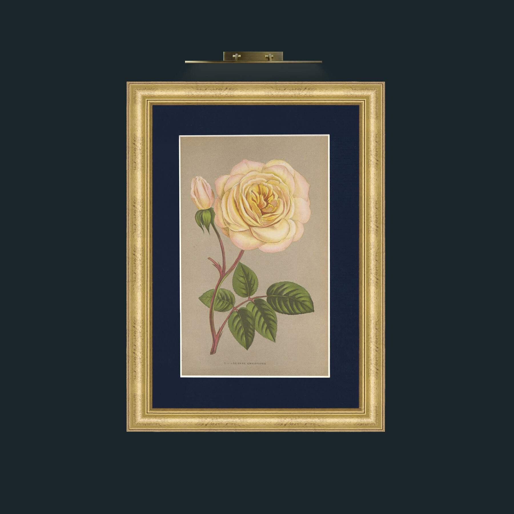 Art-Adrienne Christophe.jpg-Frame-9WideGilt-Mount-3Blue.jpg