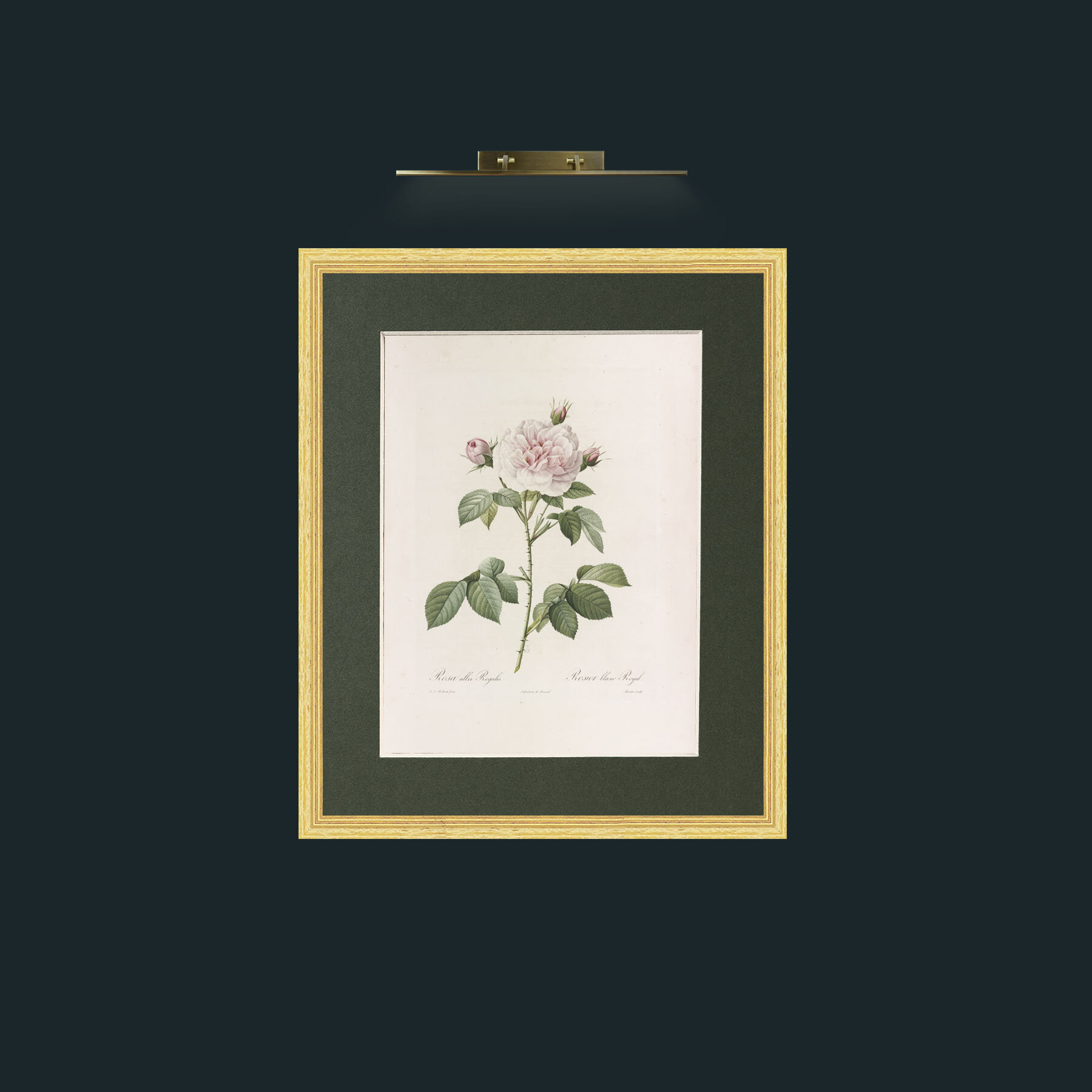 Art-Alba Regalis-Frame-4BevelledGilt-Mount-2Green.jpg