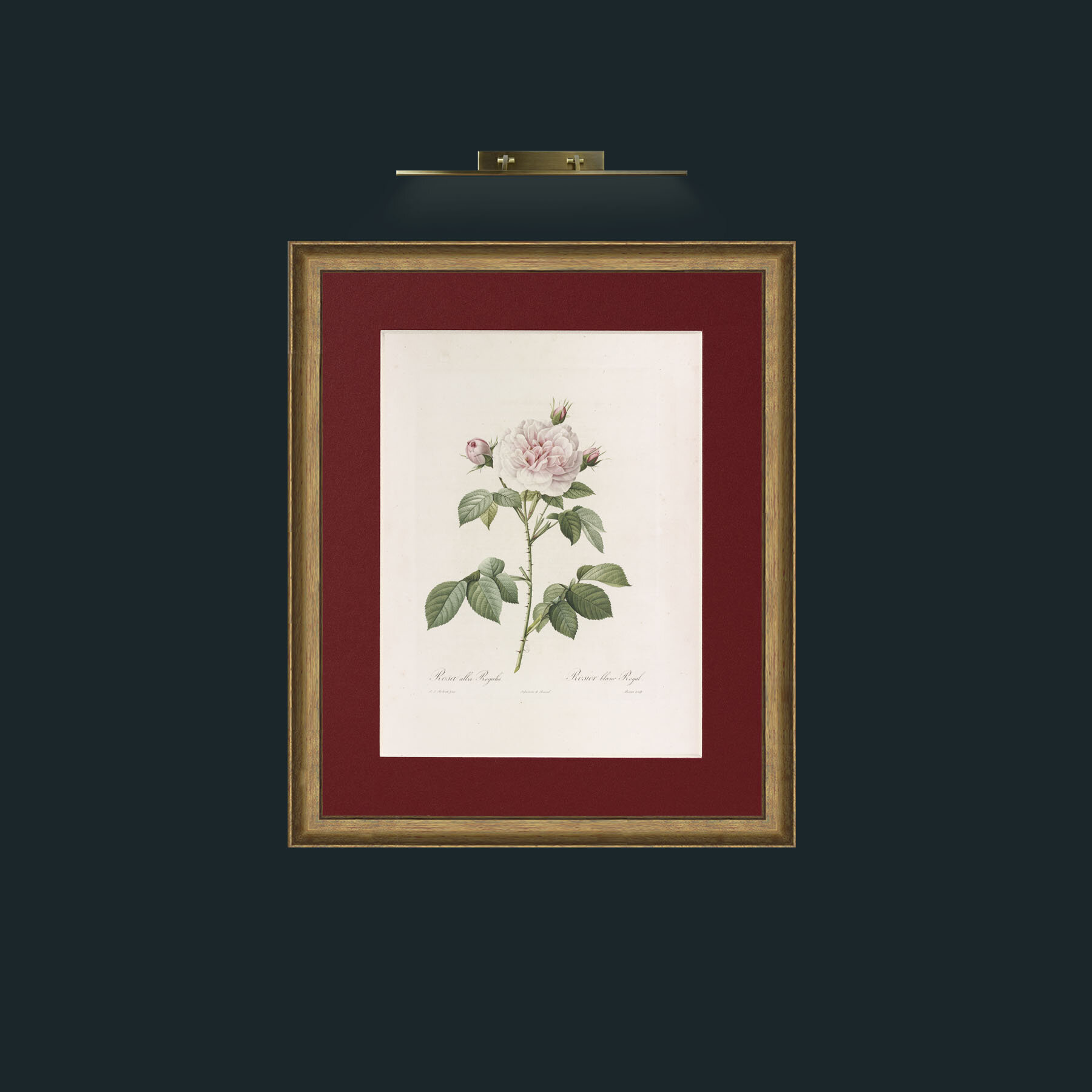 Art-Alba Regalis-Frame-8RedGreenGilt-Mount-4Red.jpg