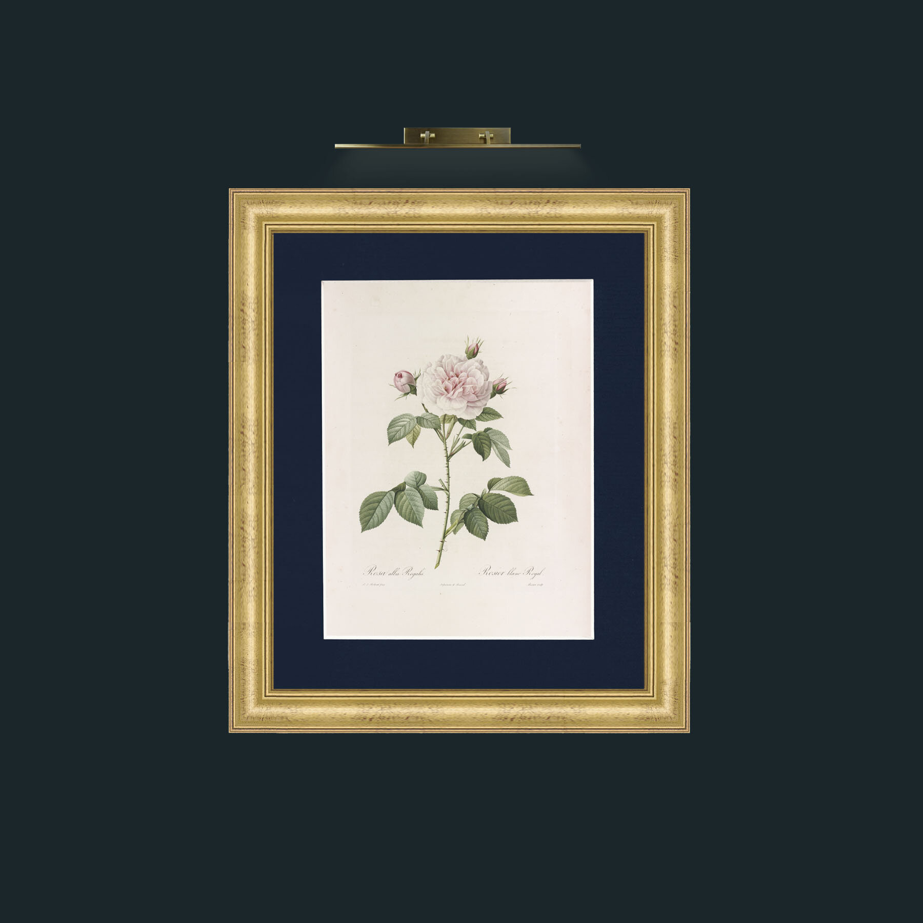 Art-Alba Regalis-Frame-9WideGilt-Mount-3Blue.jpg