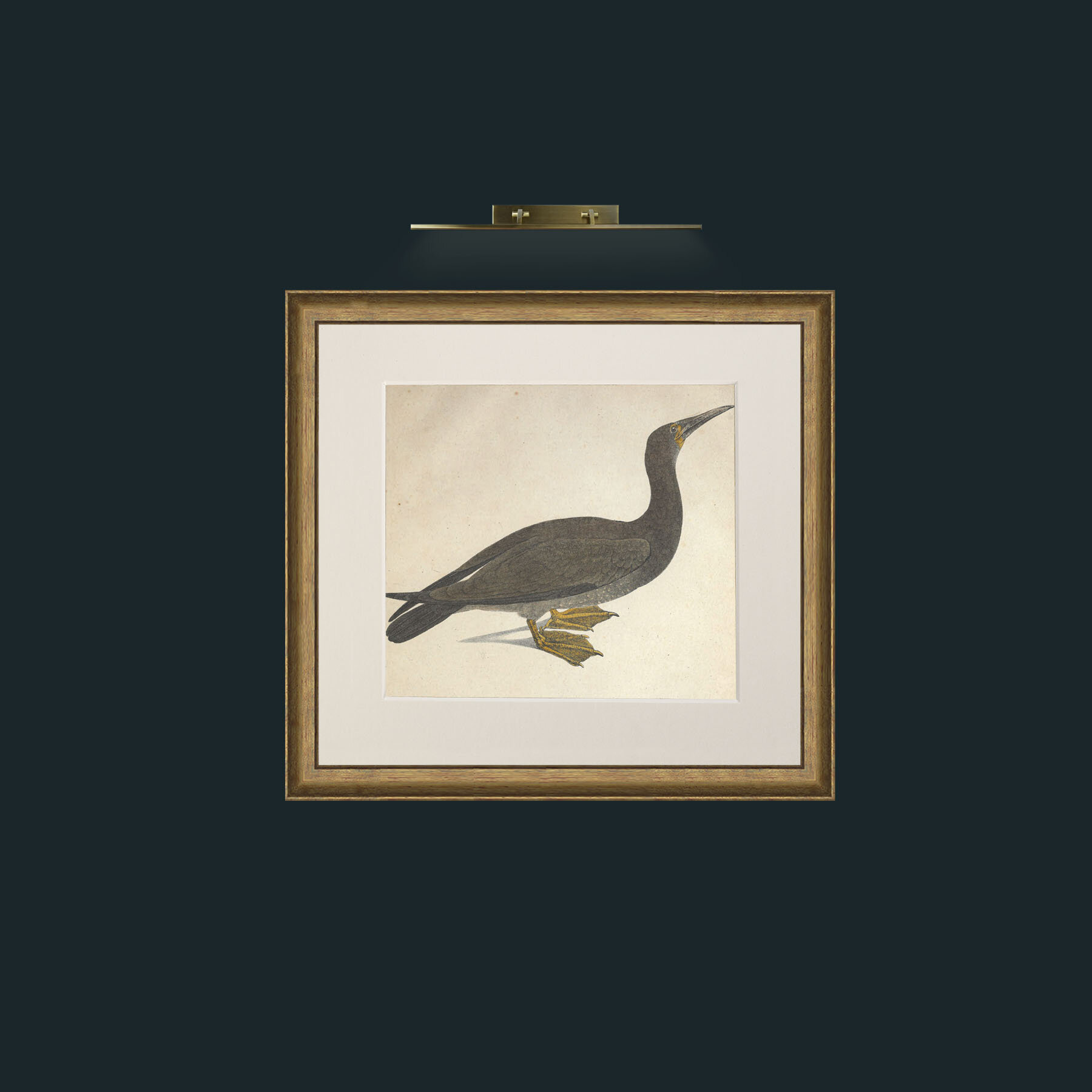 Art-Brasiliensis Sula-Frame-8RedGreenGilt-Mount-1Antique.jpg